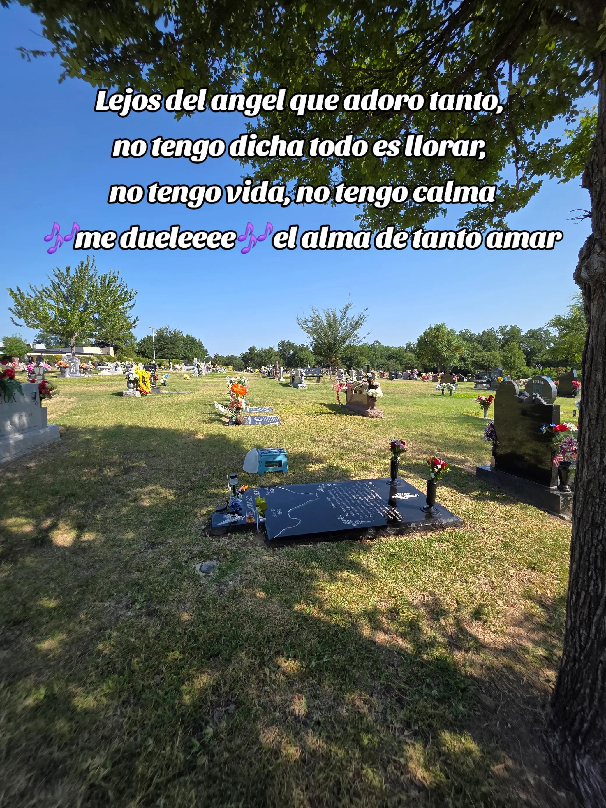 @Menndozaa🍃