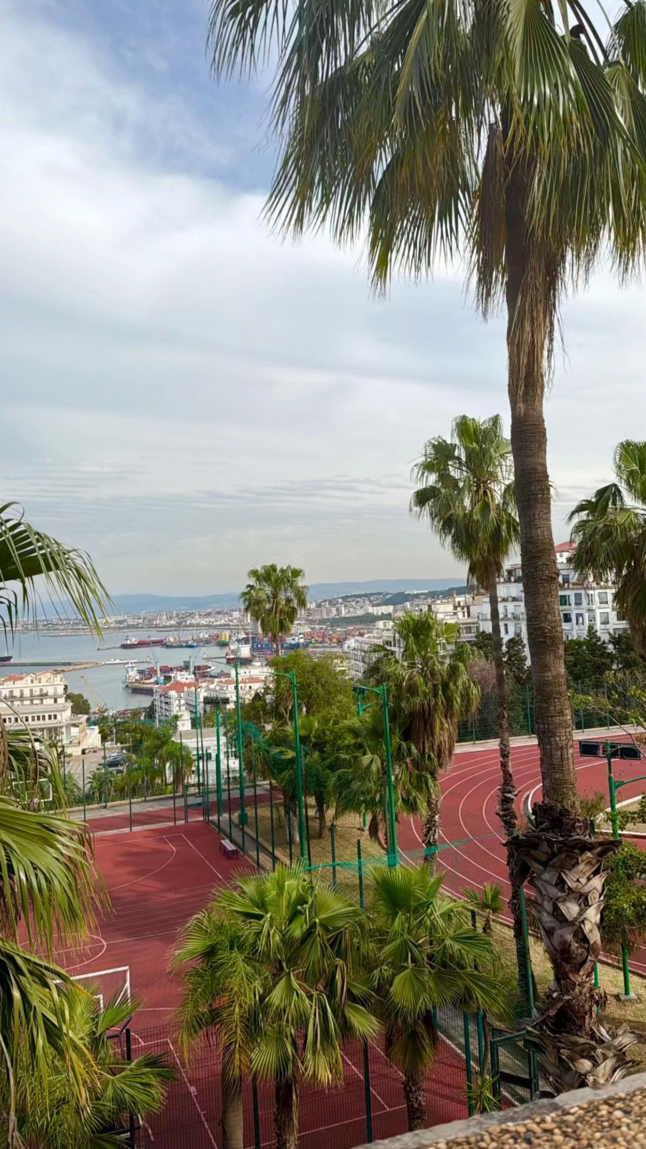 @CAMSOUU 🇩🇿