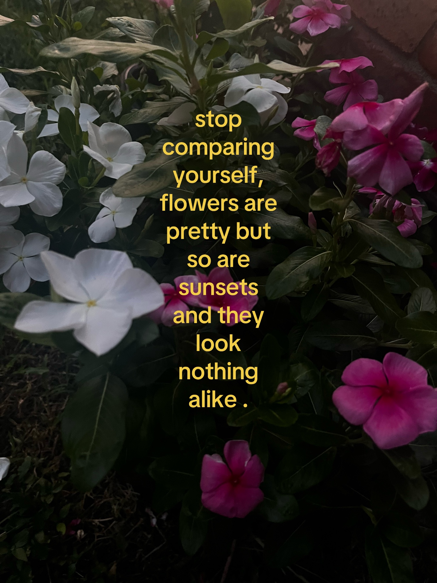 @Jackie