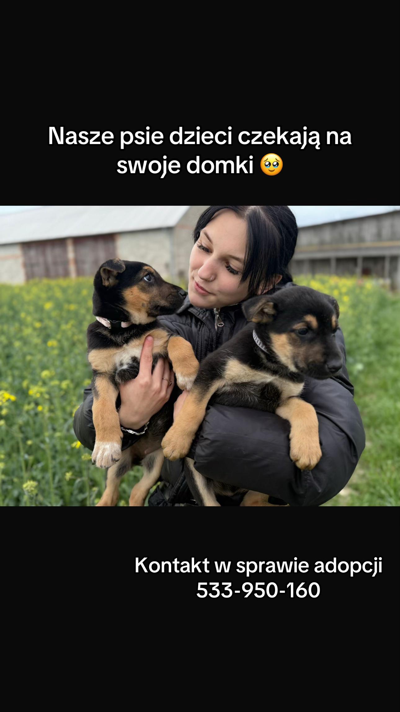 @StrzalkosiaV2