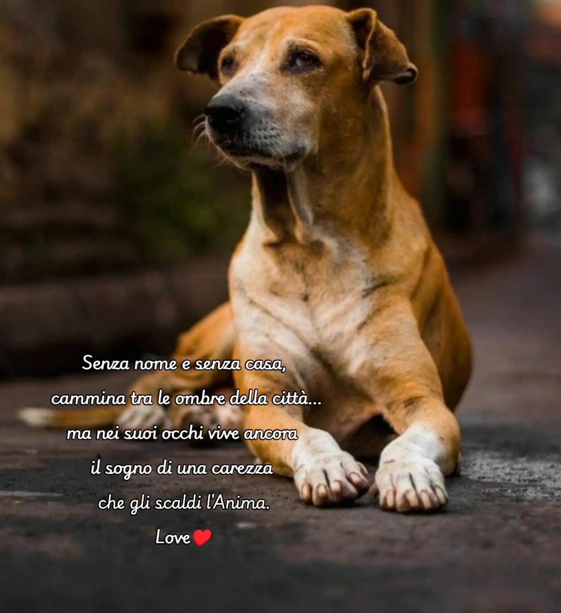@Rossana♥️Billy♥️ Léon ♥️