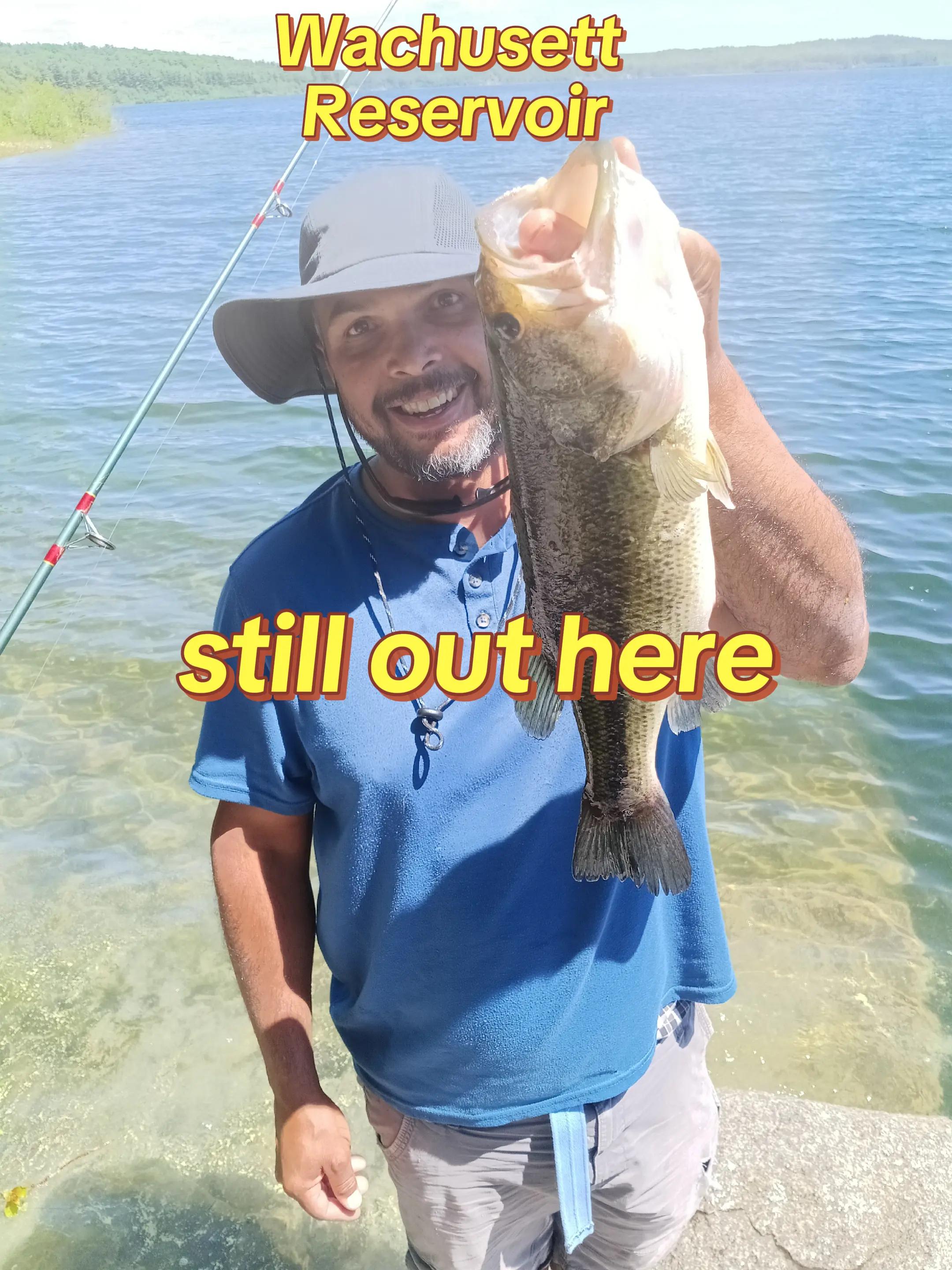 @Carlos Pagan