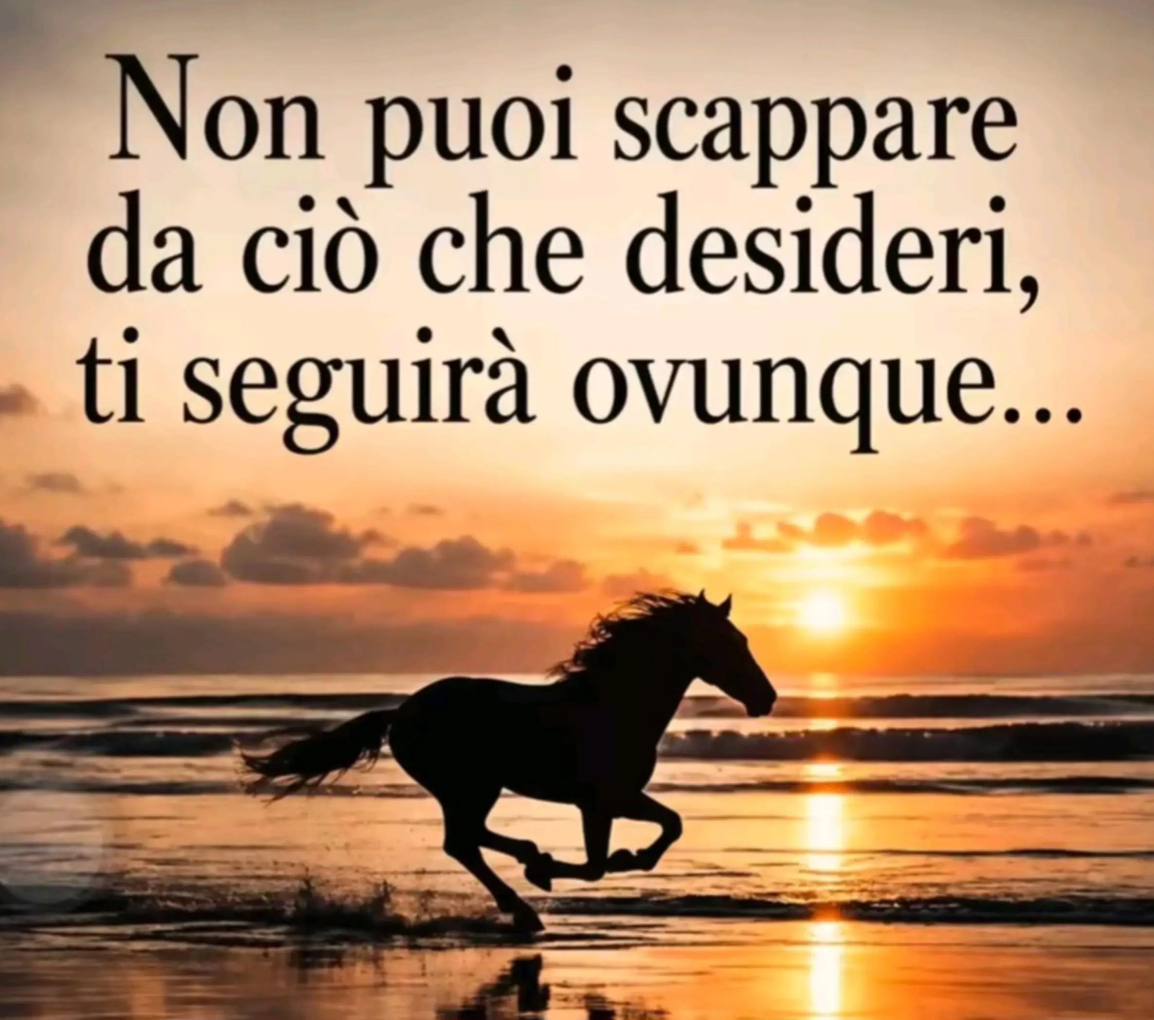@Debora Murgia