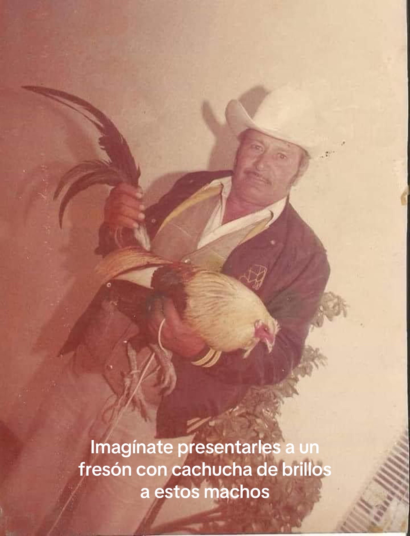 @Ale 🕷️