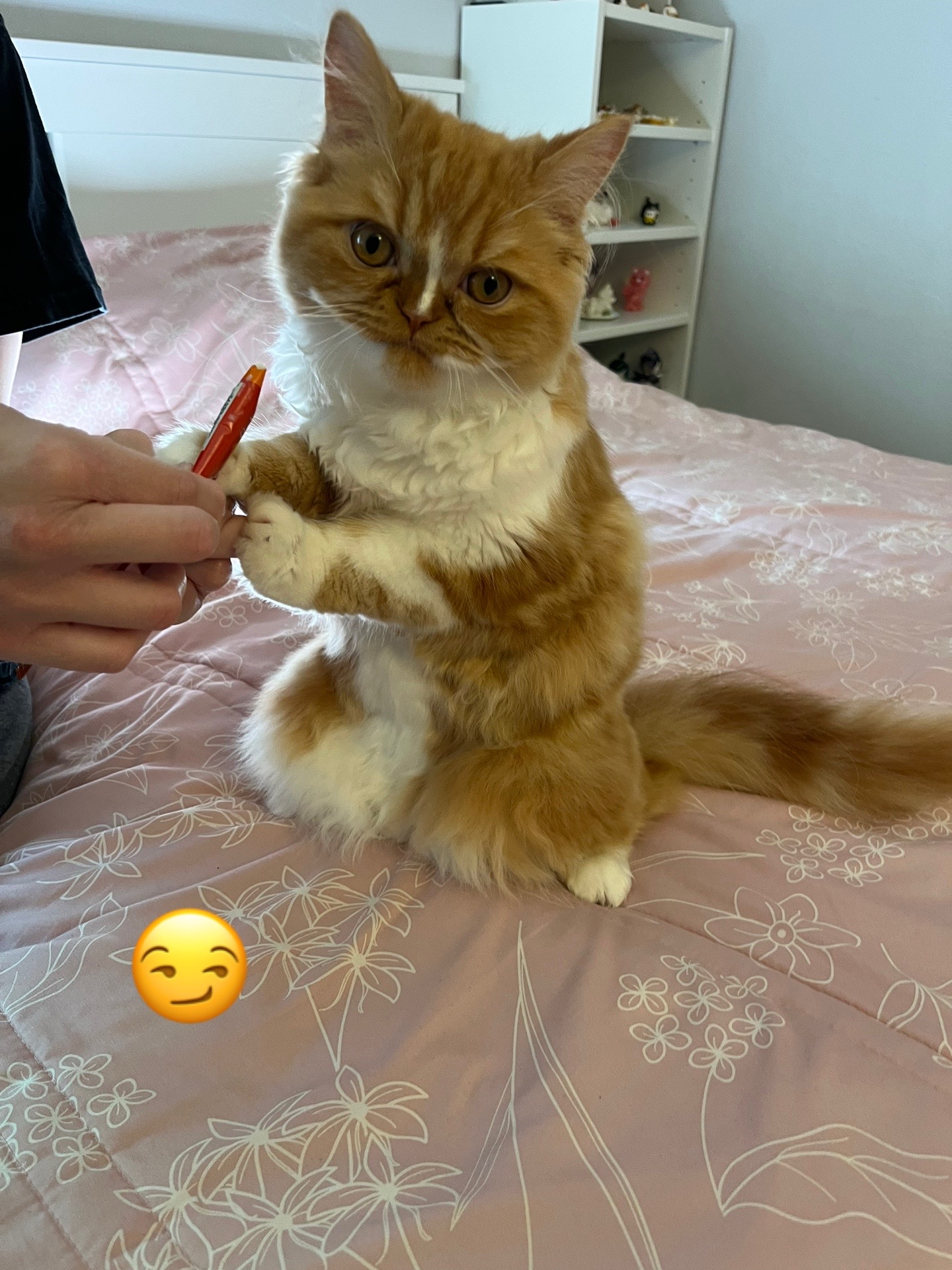 @somithepersian