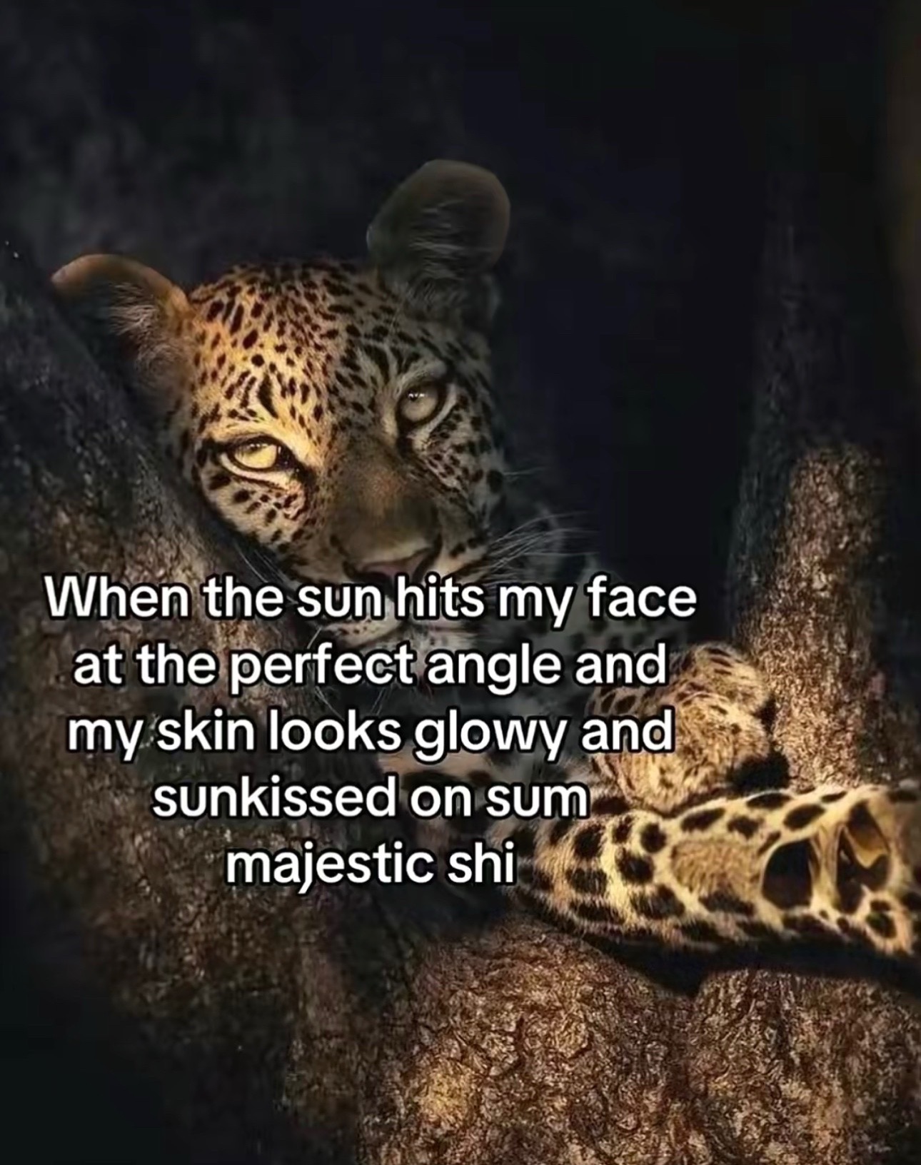 @𝓢💋
