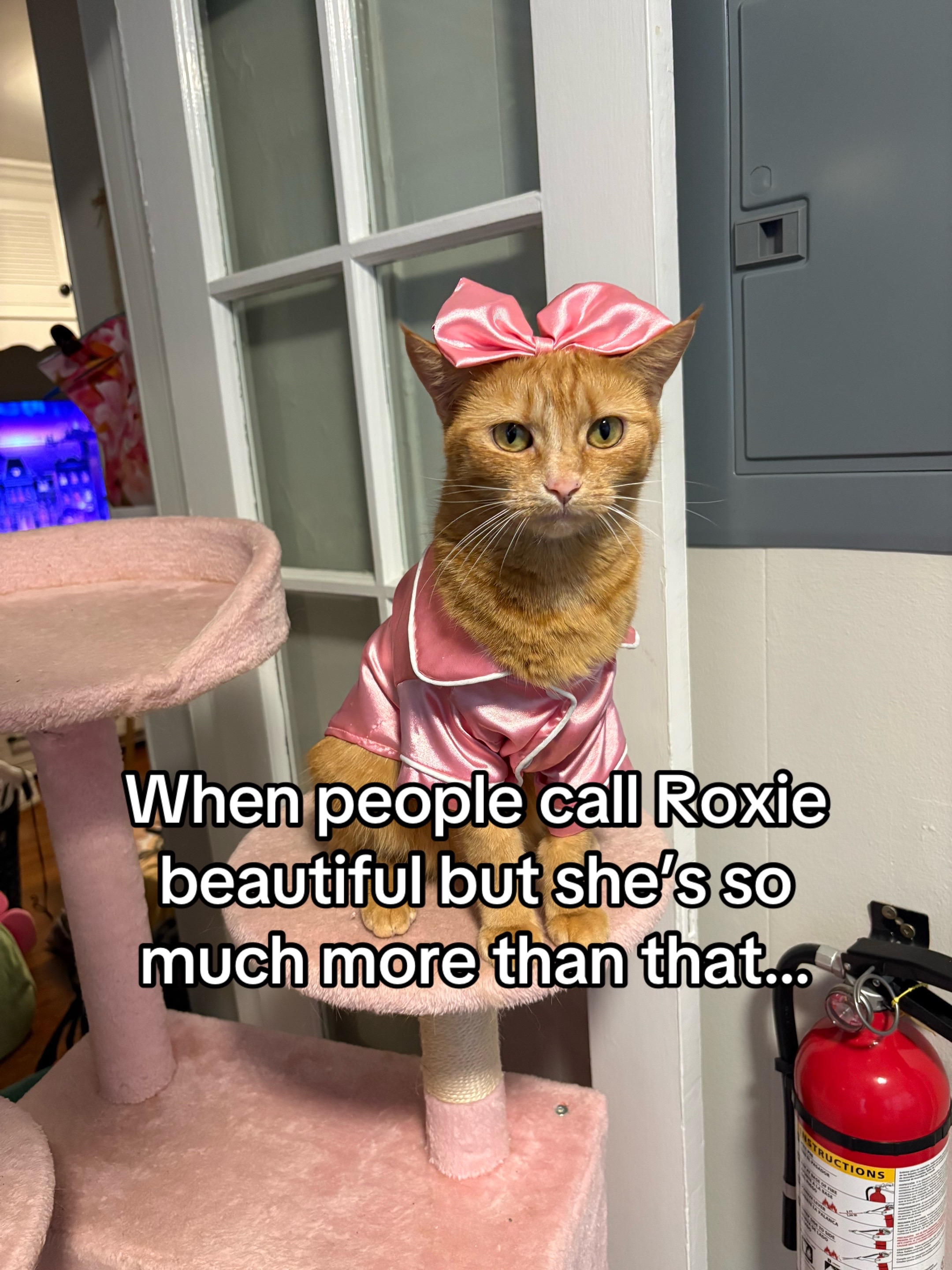 @Roxiemiauwmiauw