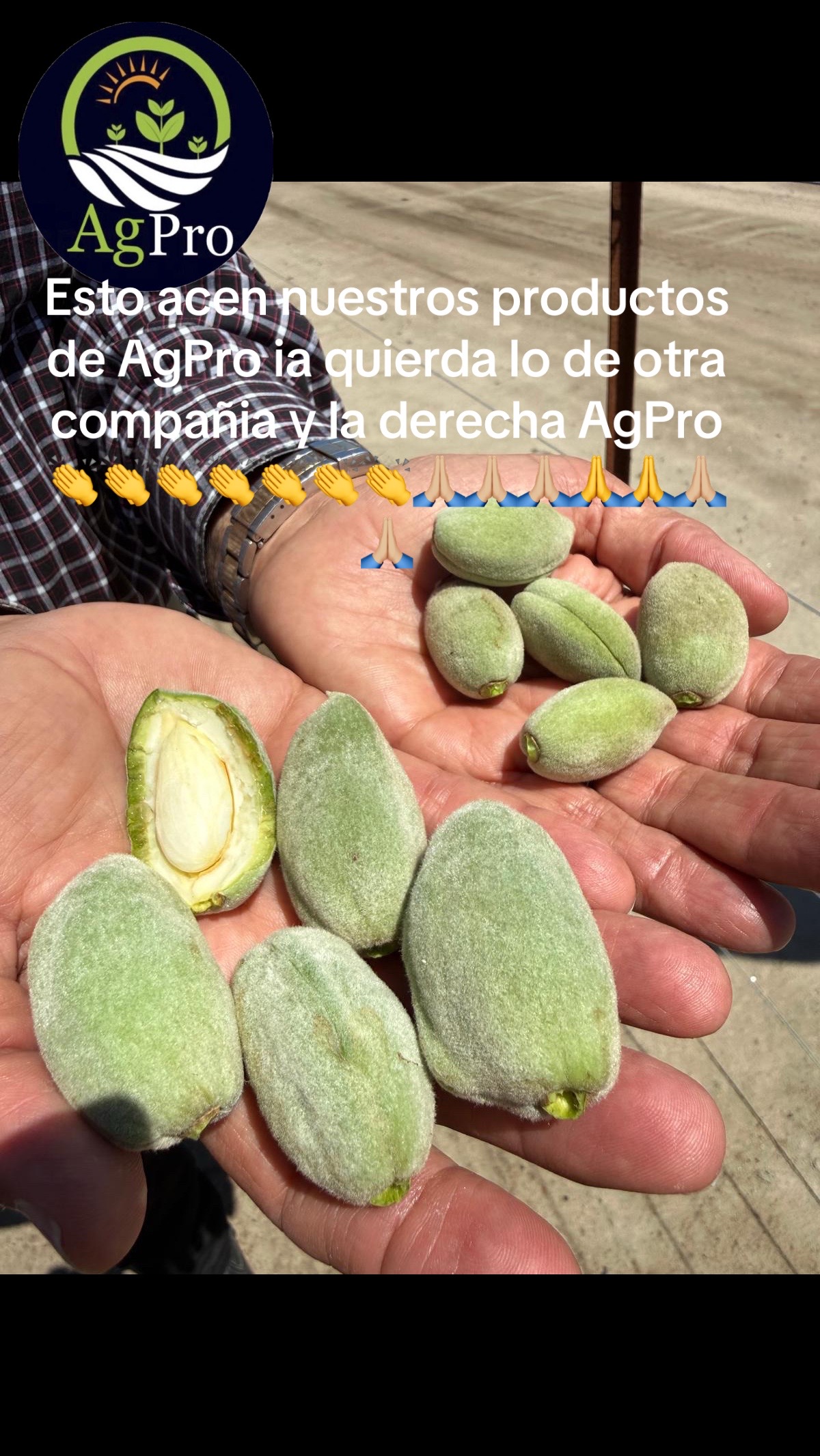 @Piedad Ayala