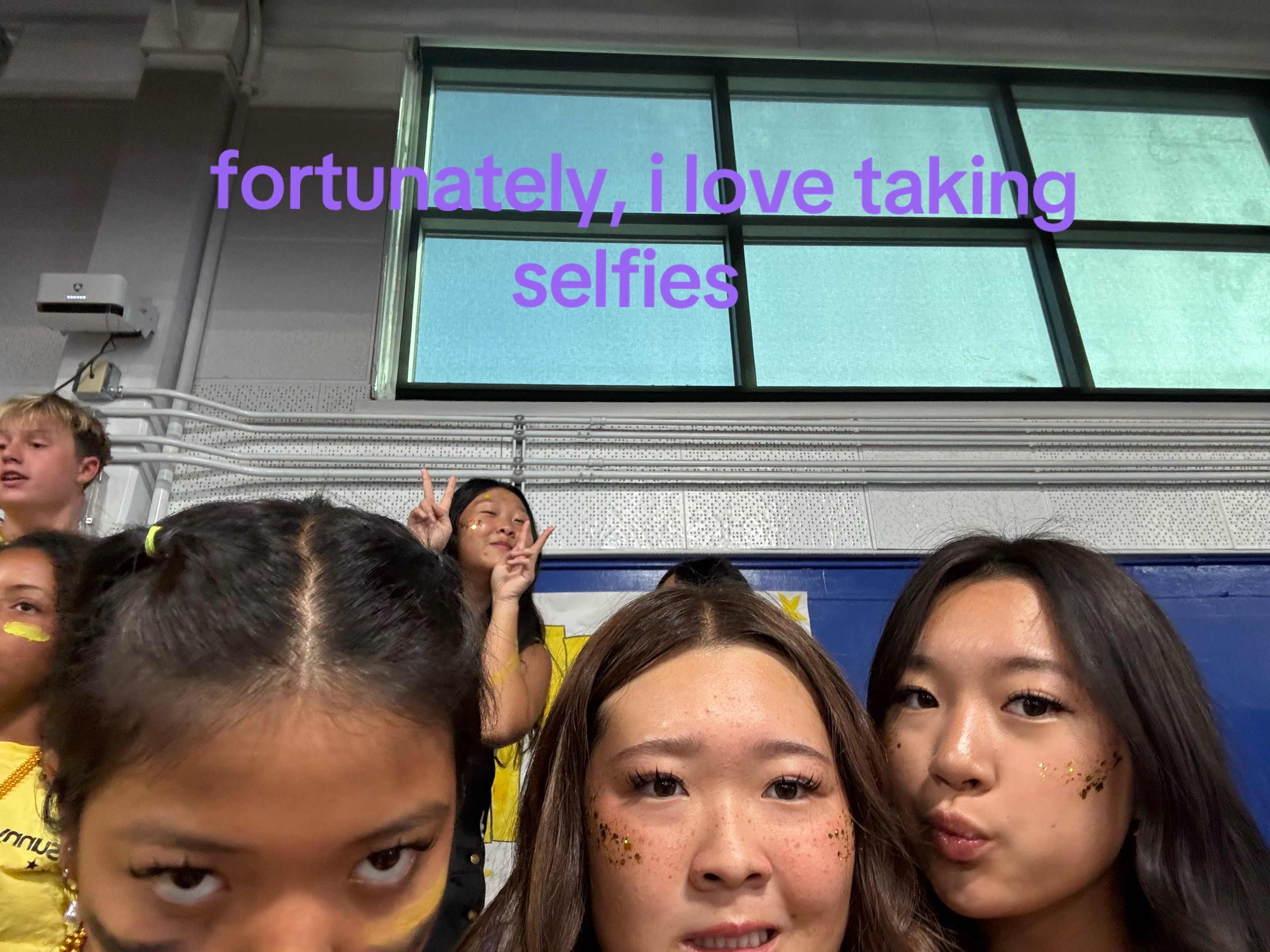 @sheshe