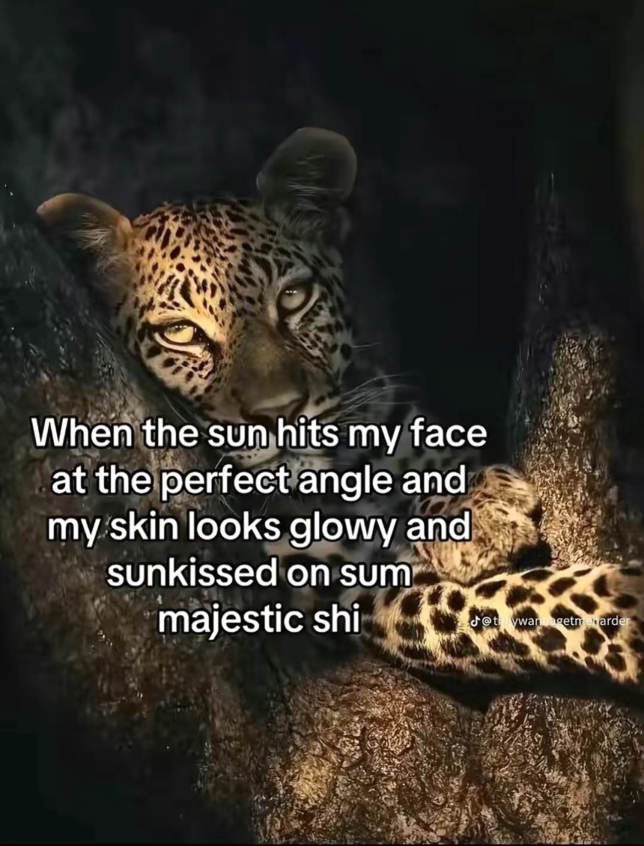@el💘