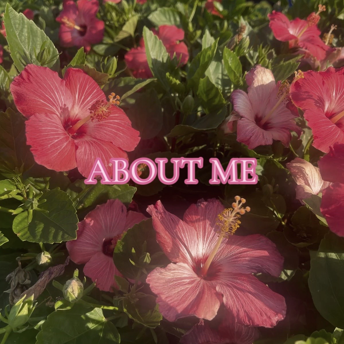 @🗝️୨𝒓𝒐𝒃𝒚𝒏୧🐙