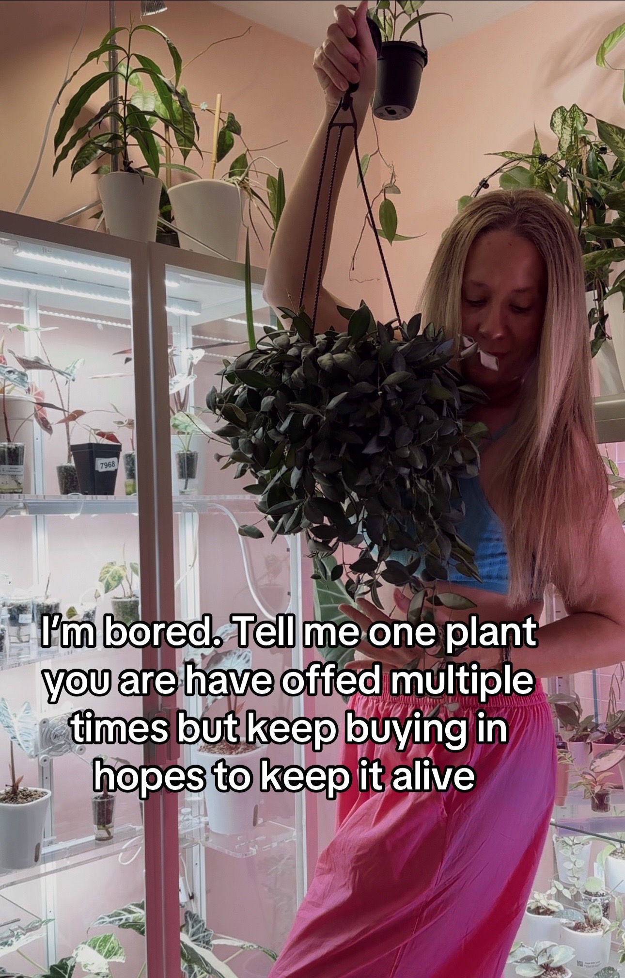 @Erin&ensp;Keys&ensp;-&ensp;TheBoujeeGreenhous