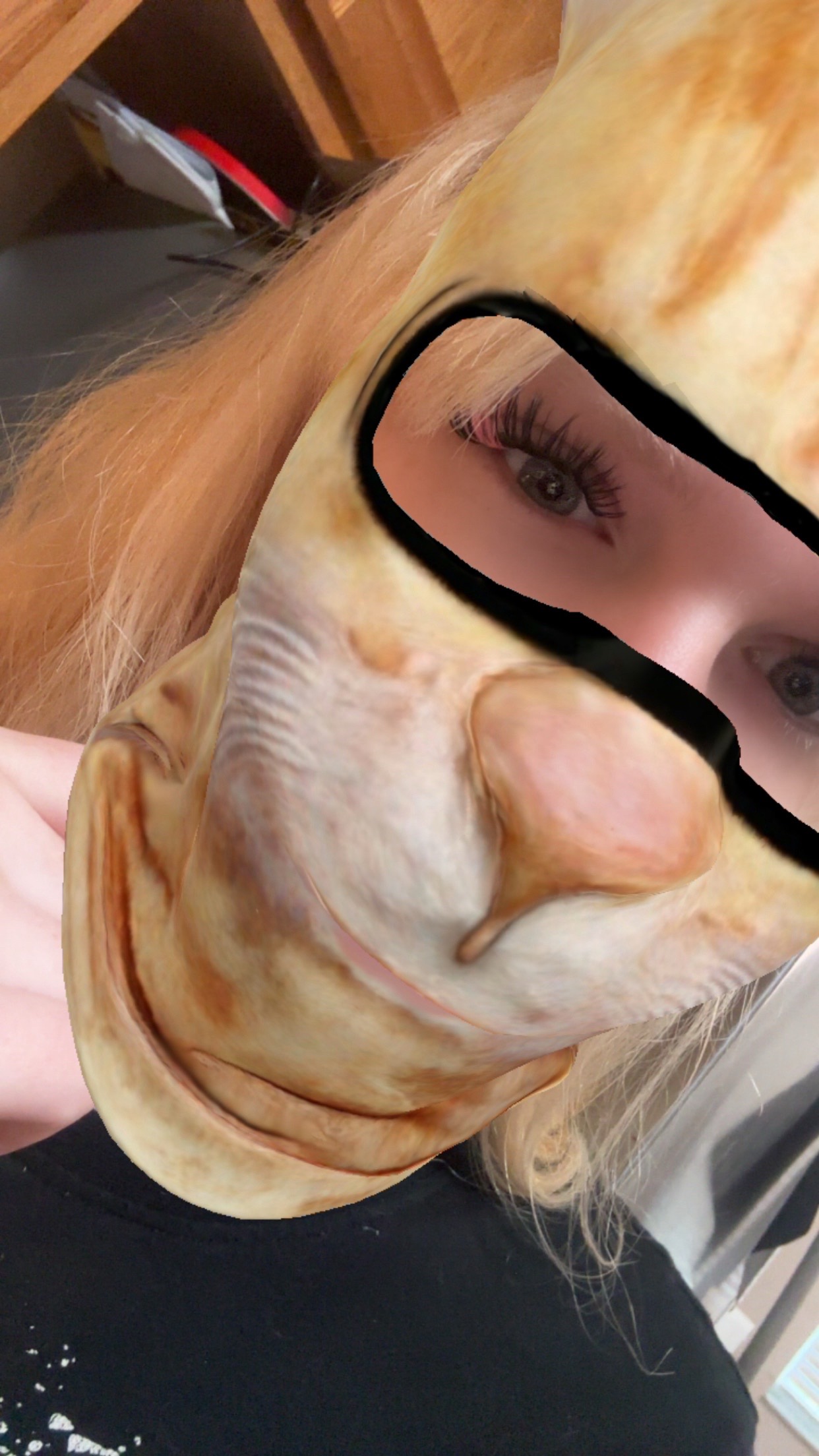 @Kotalynn2132