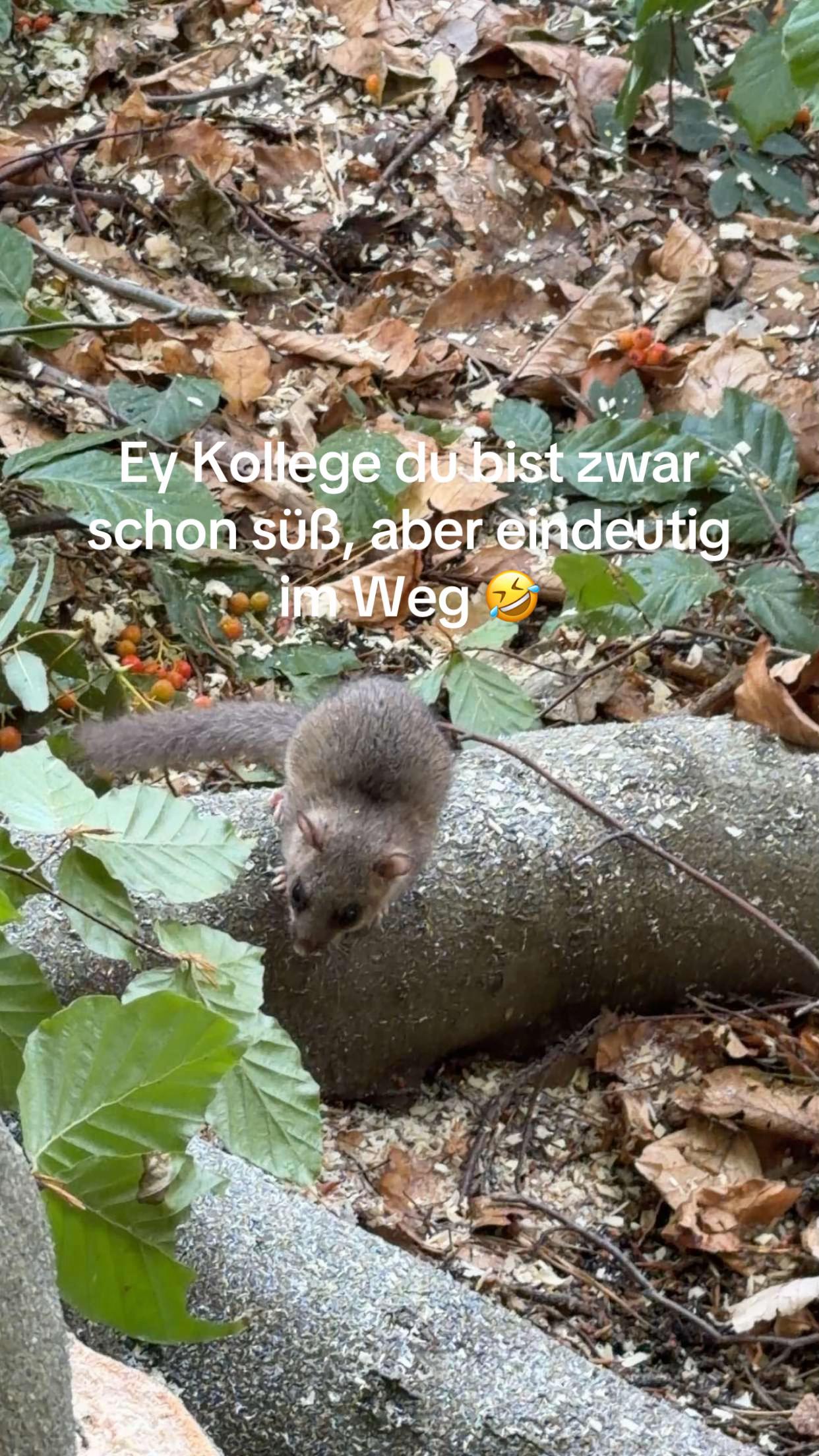 @Landwirtschaft&Mehr