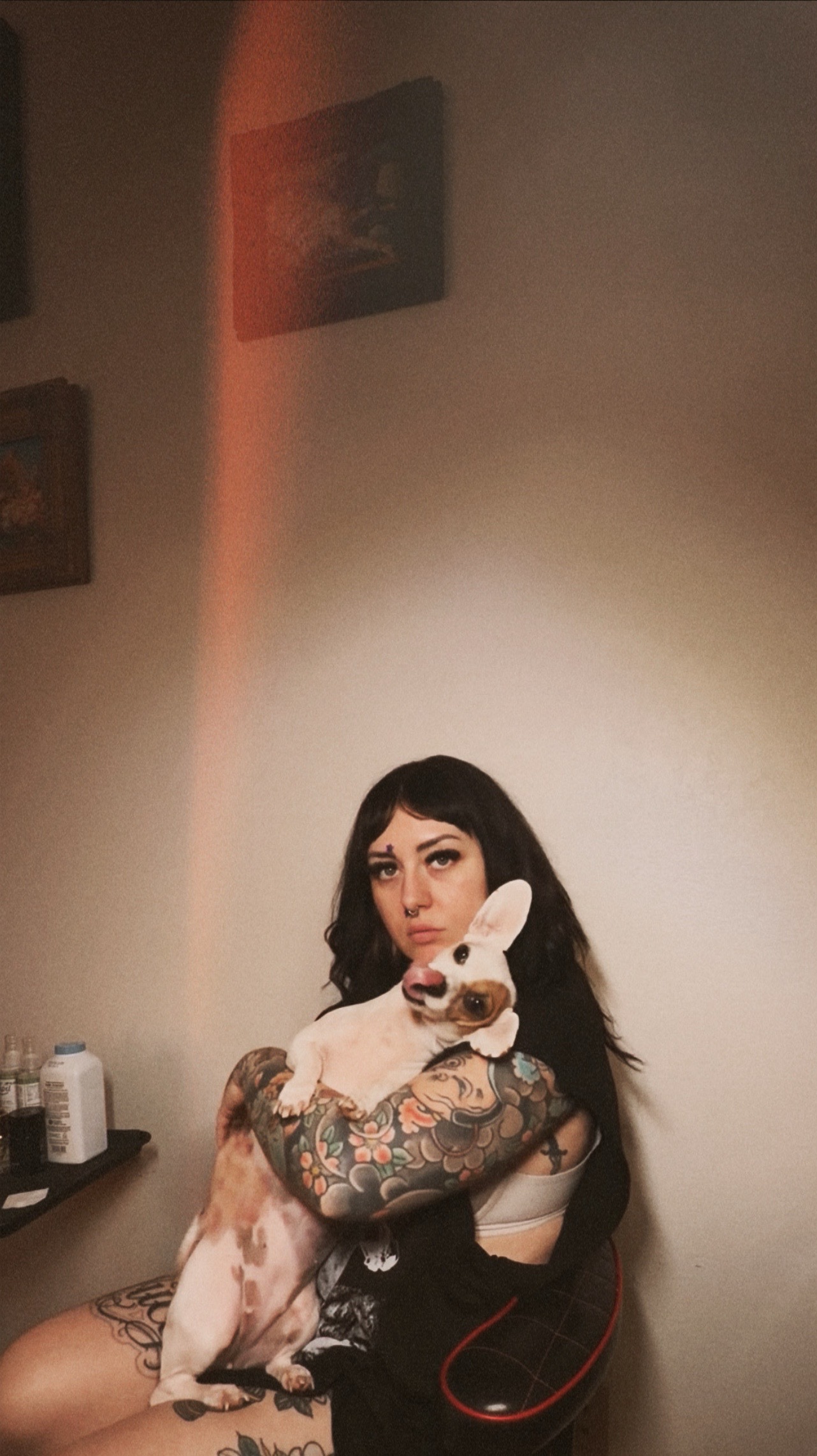@petrified_pixie