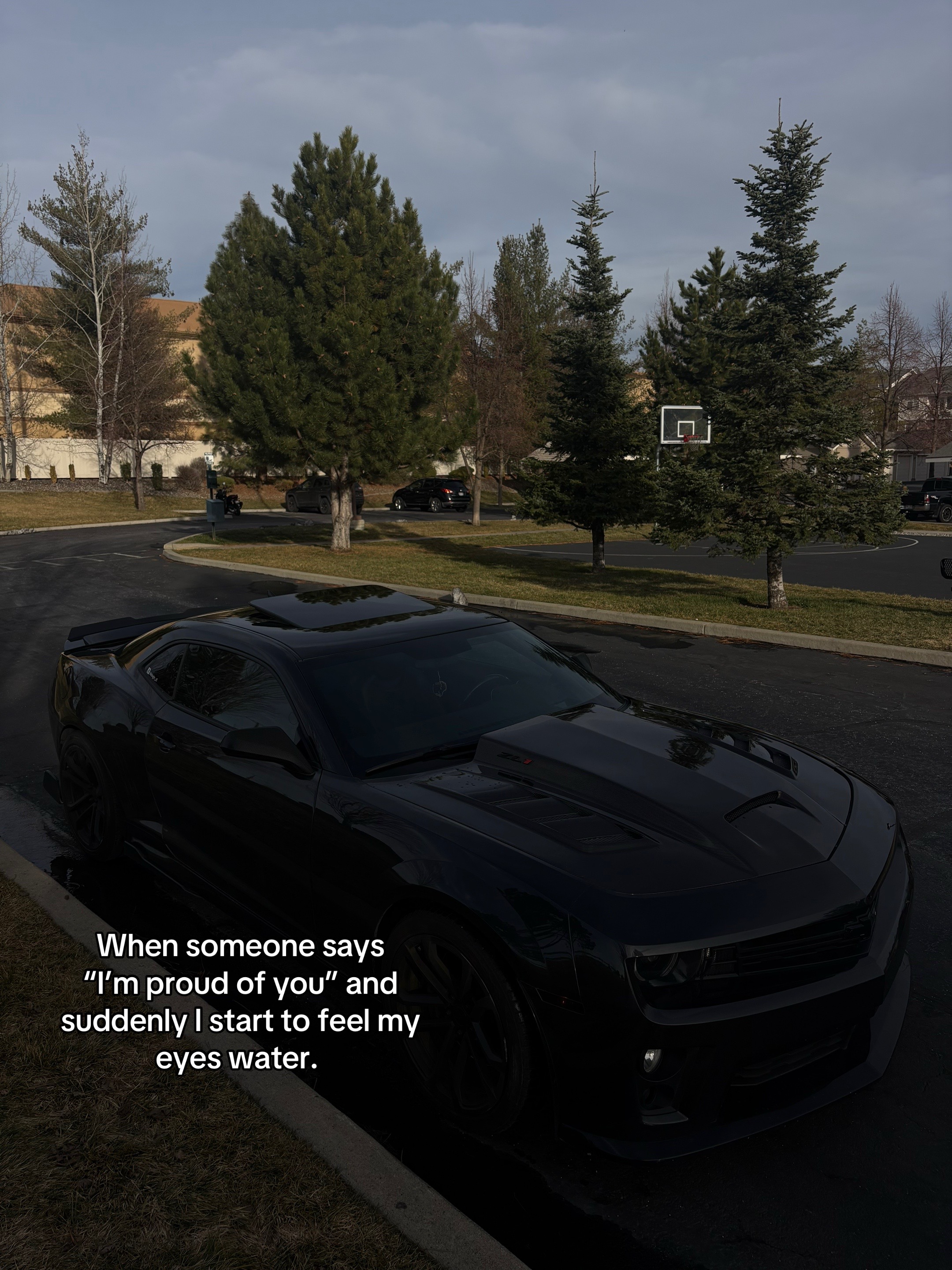 @midnight_zl1