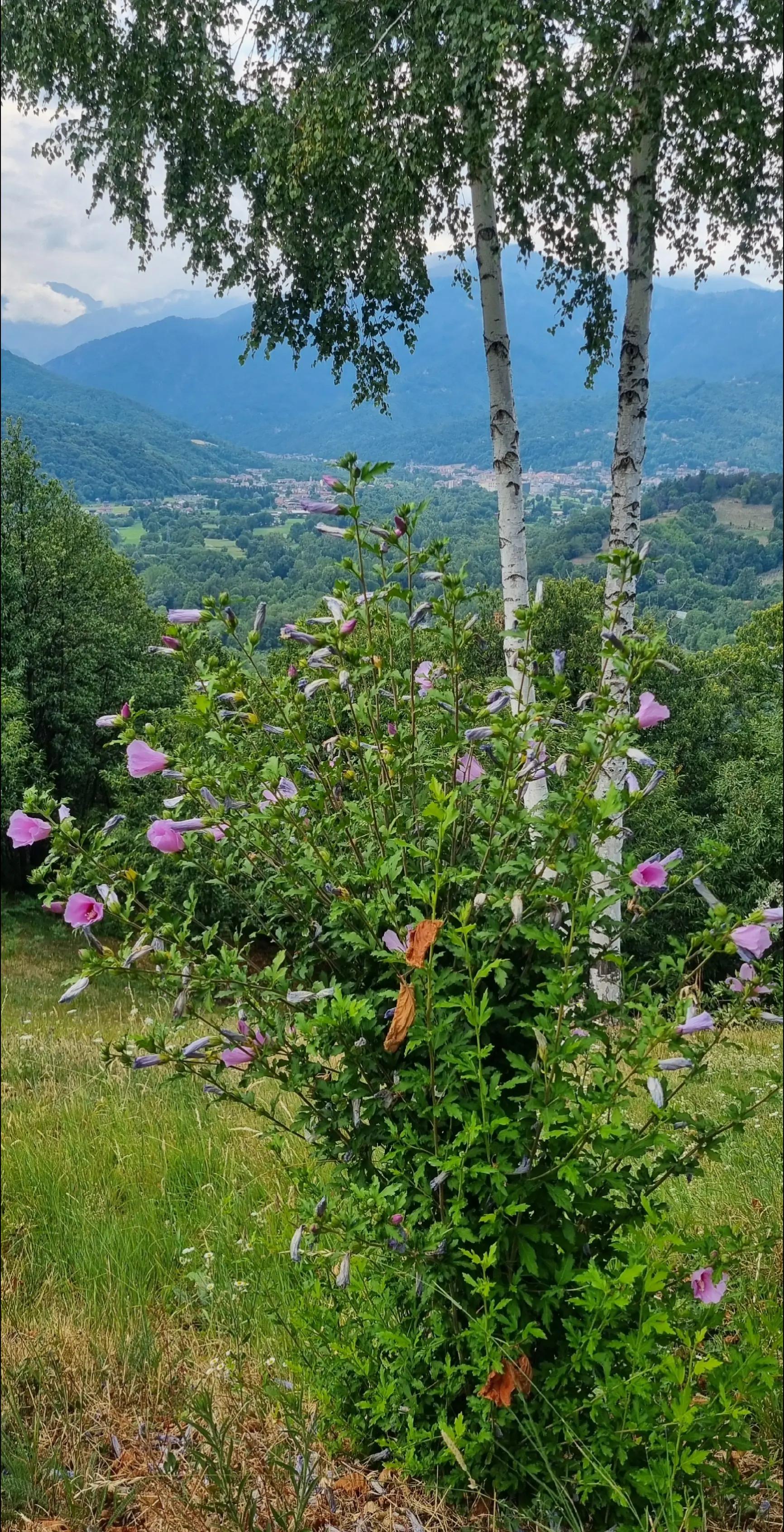 @Beppe Pascolini