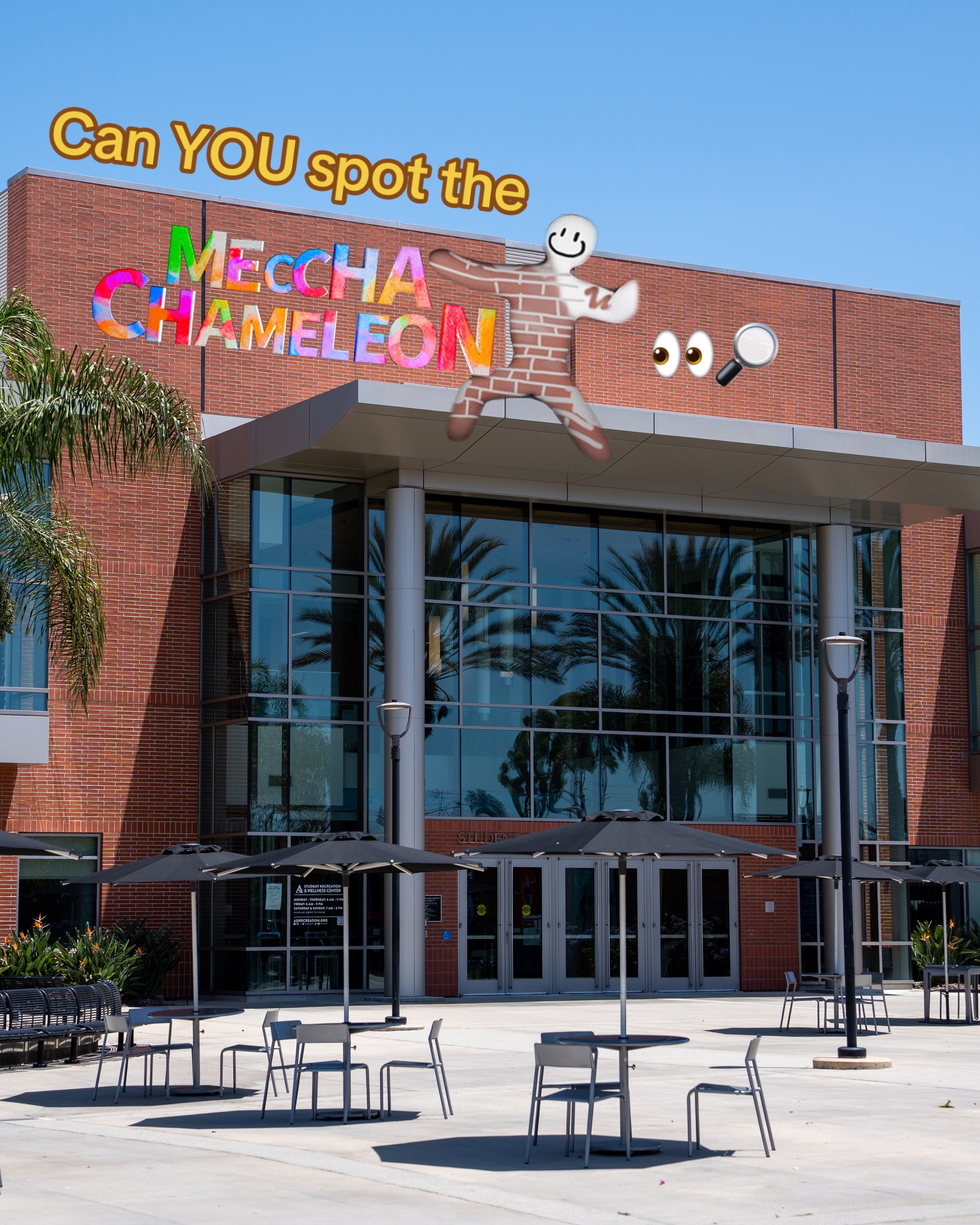 @csulbstudent
