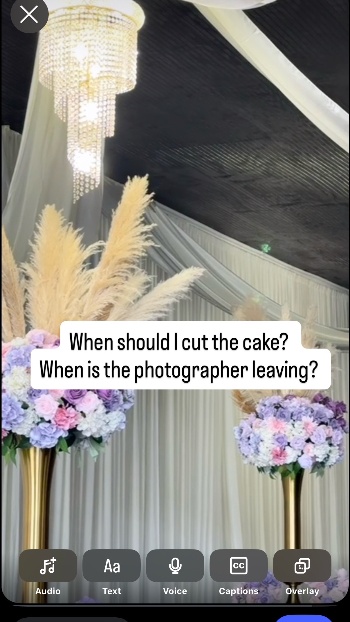 @Maxine Baptiste
