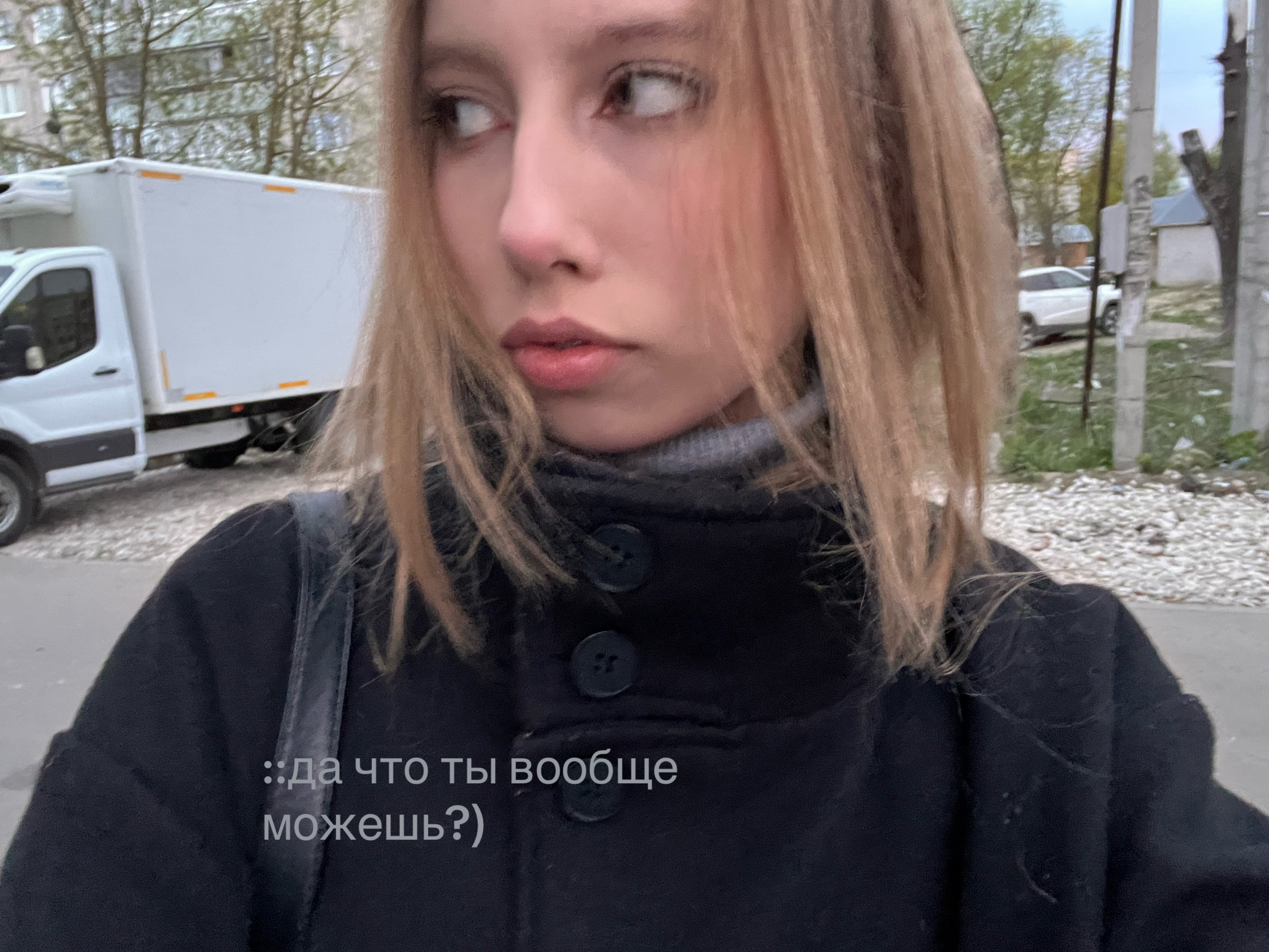 @wixs_ii🦢