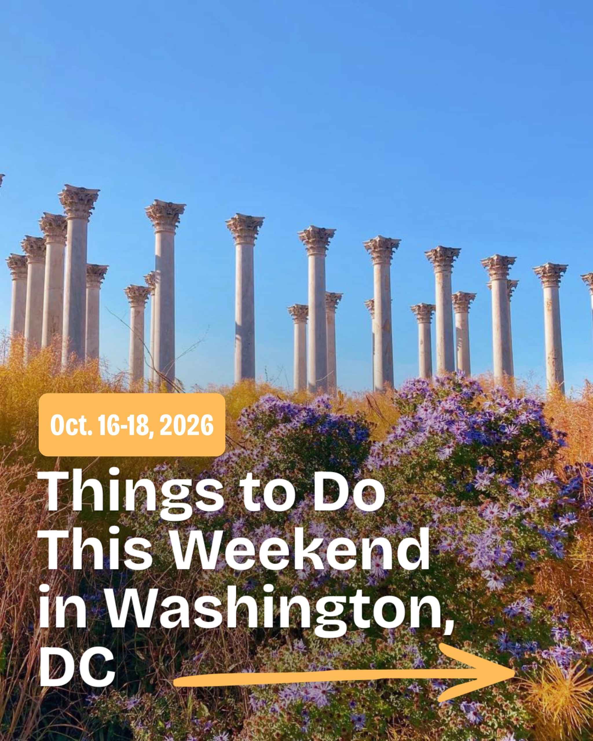 @Visit Washington, DC