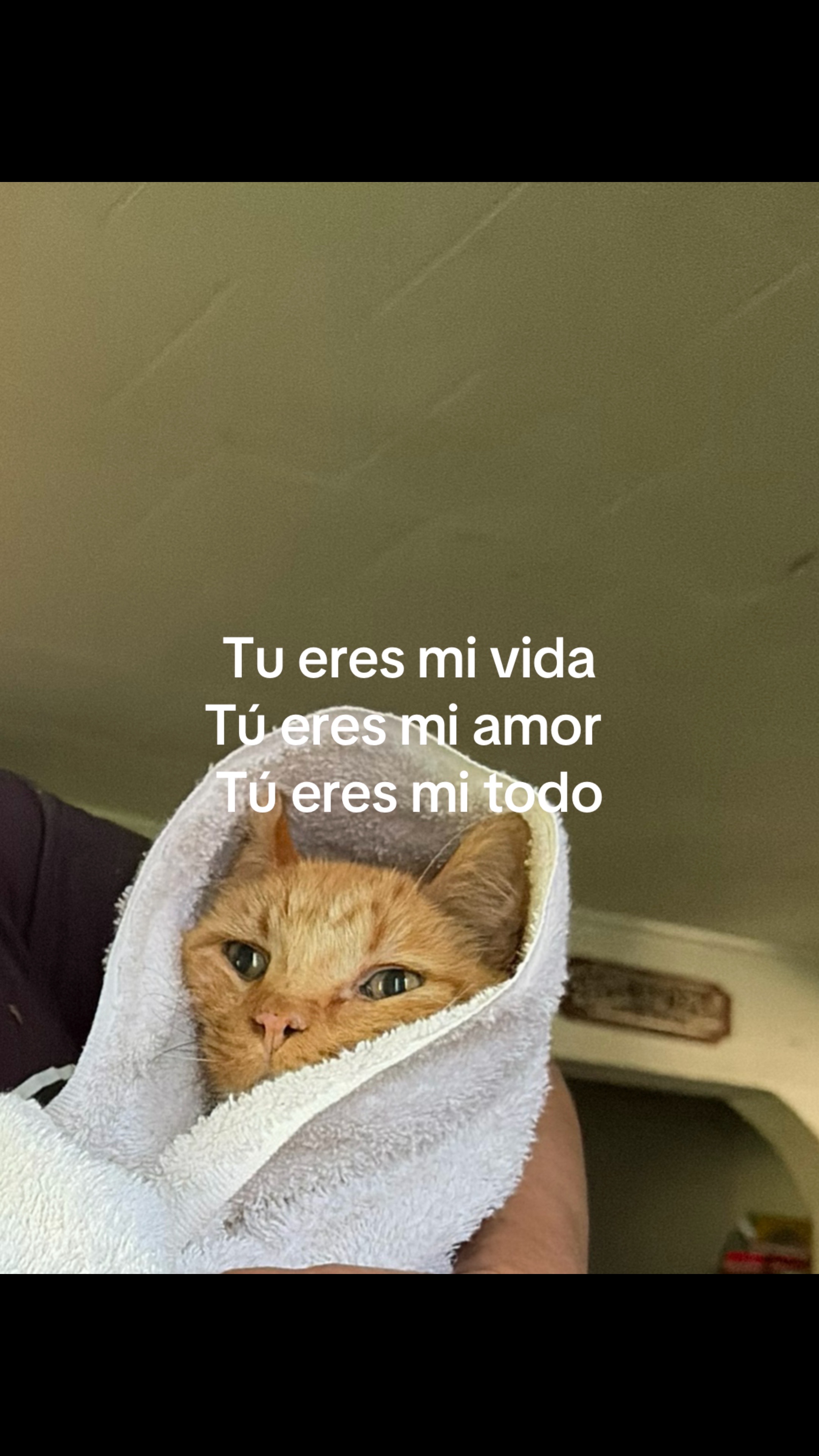 @jujuonthatbeat