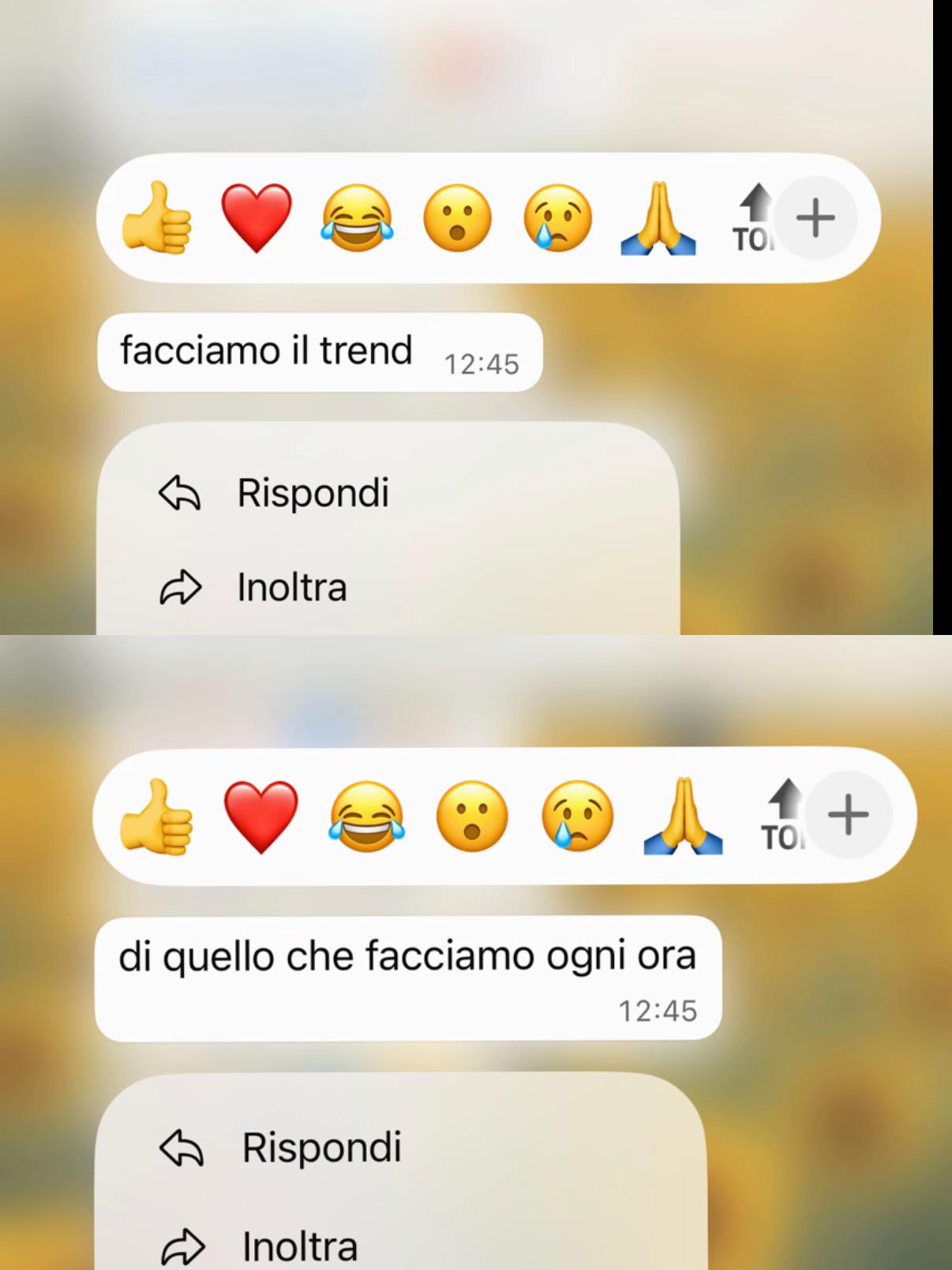 @Gaia Riefolo
