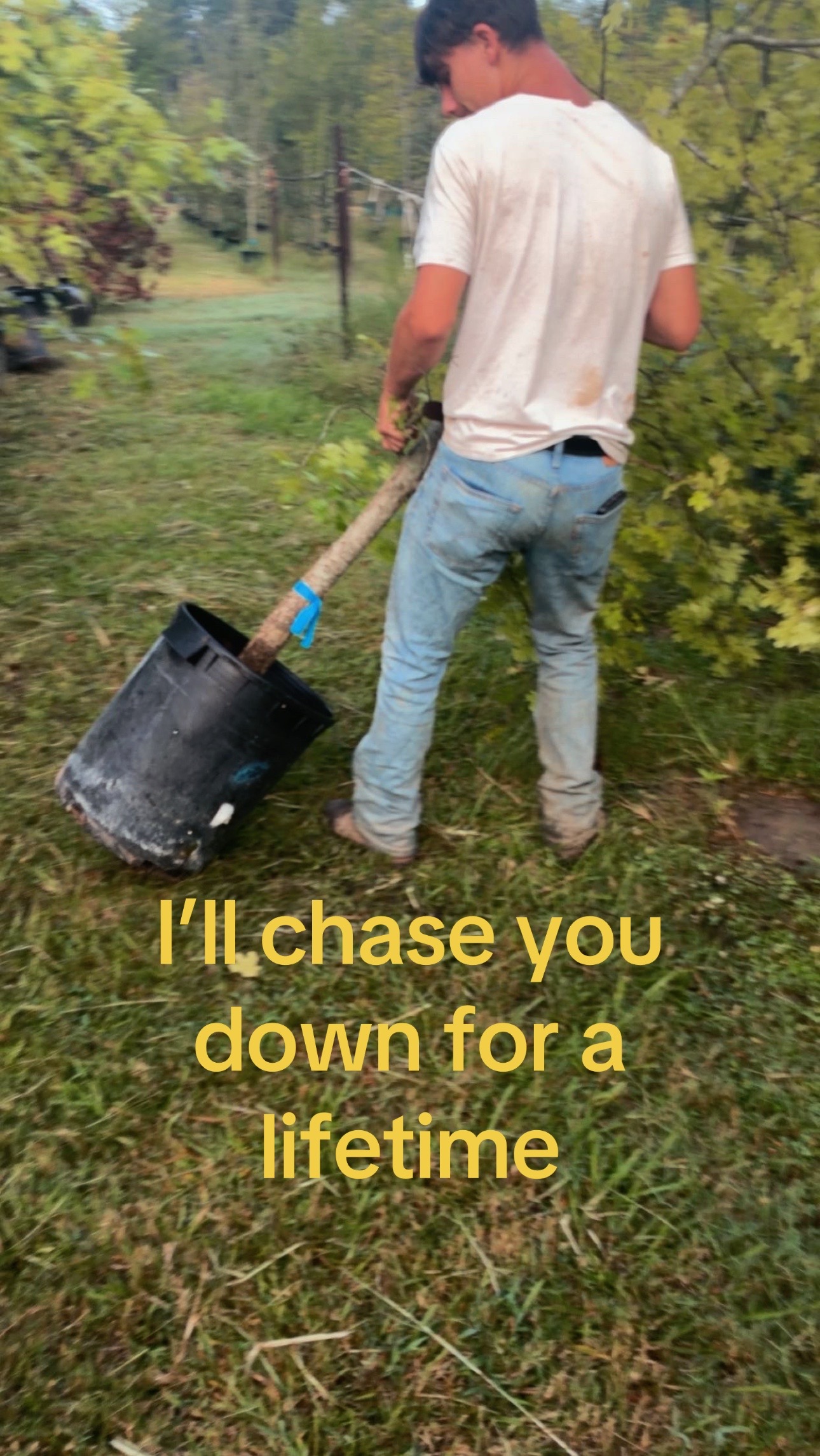 @D