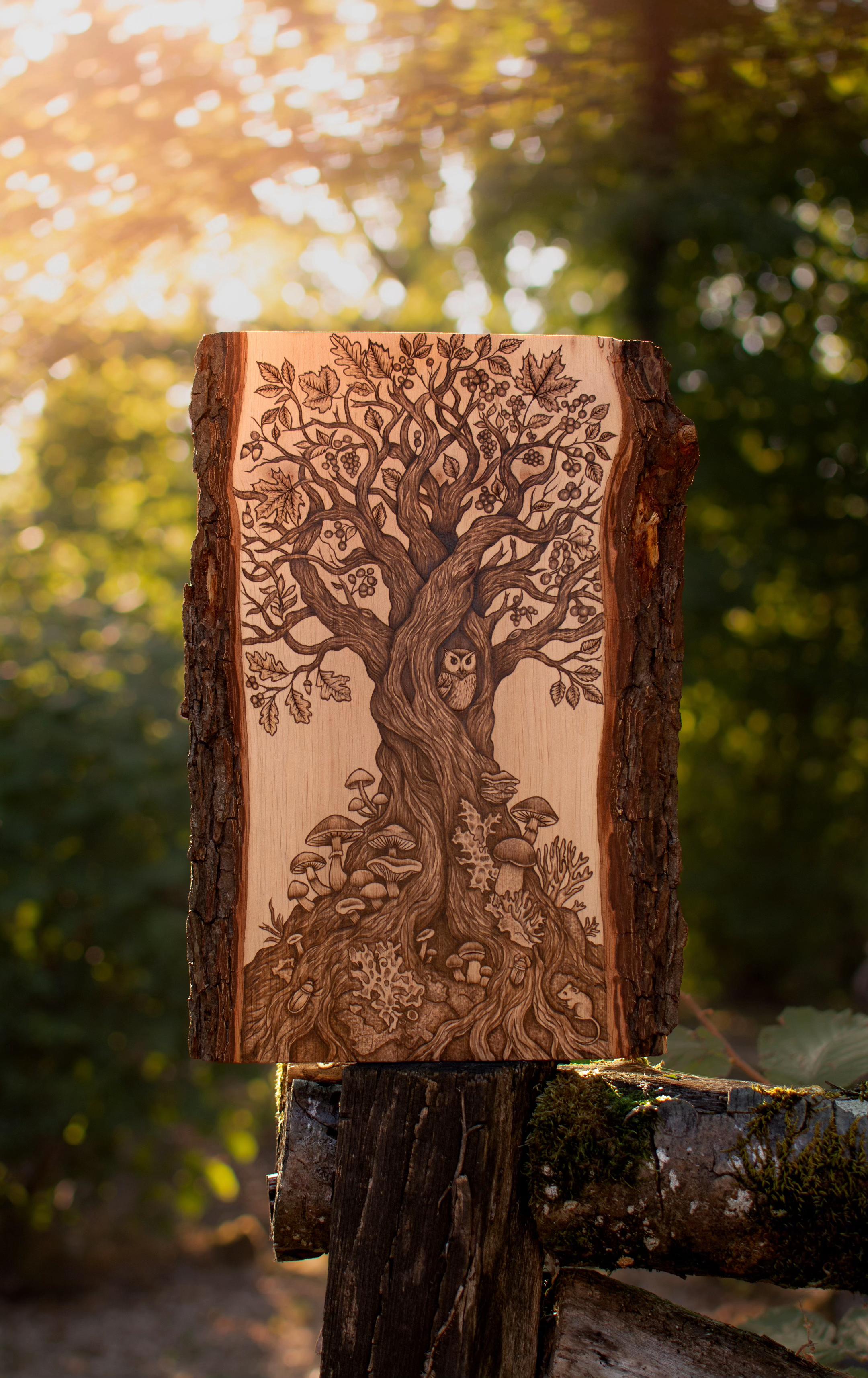 @SoWoodBurning