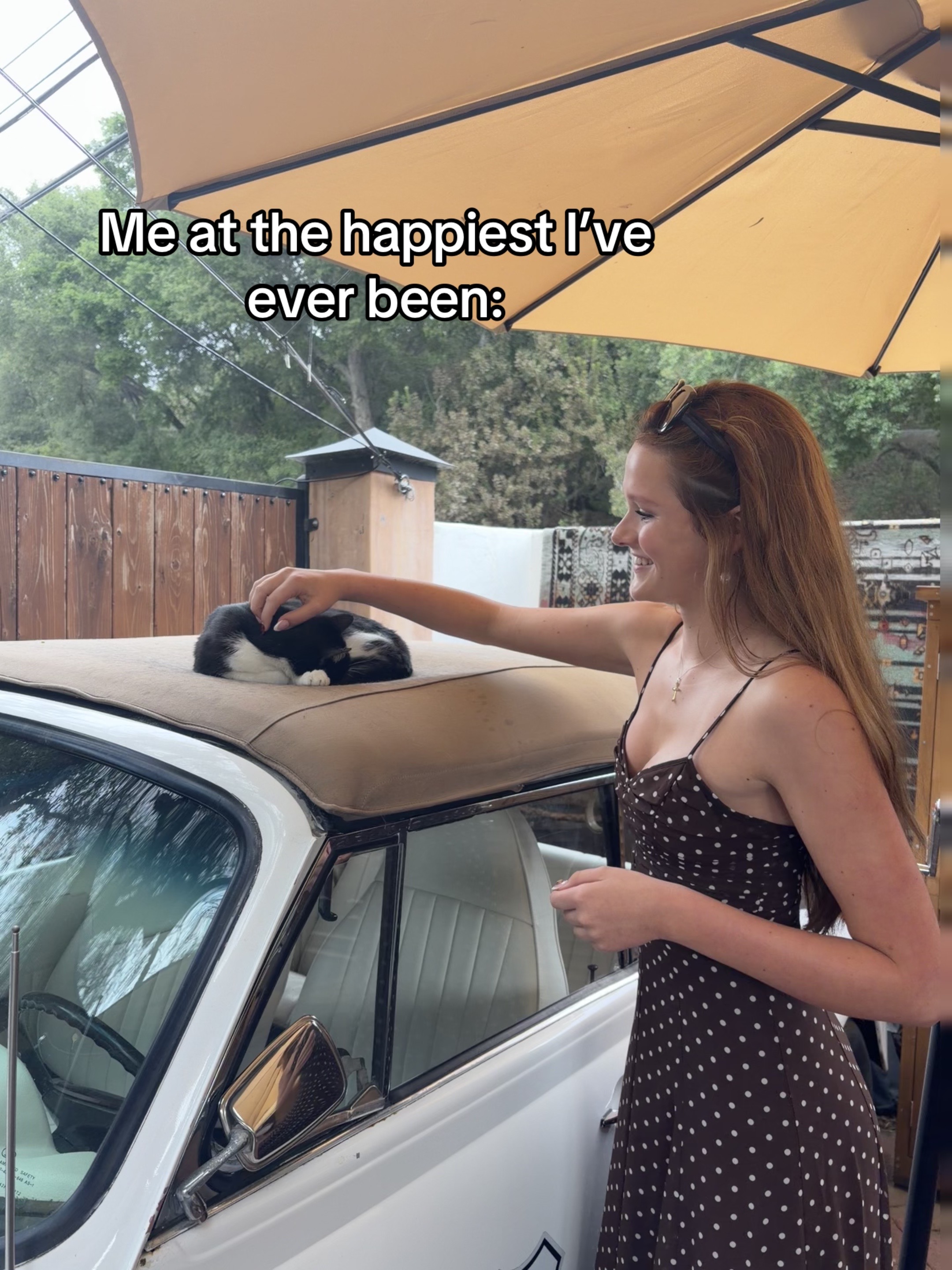 @Isabella