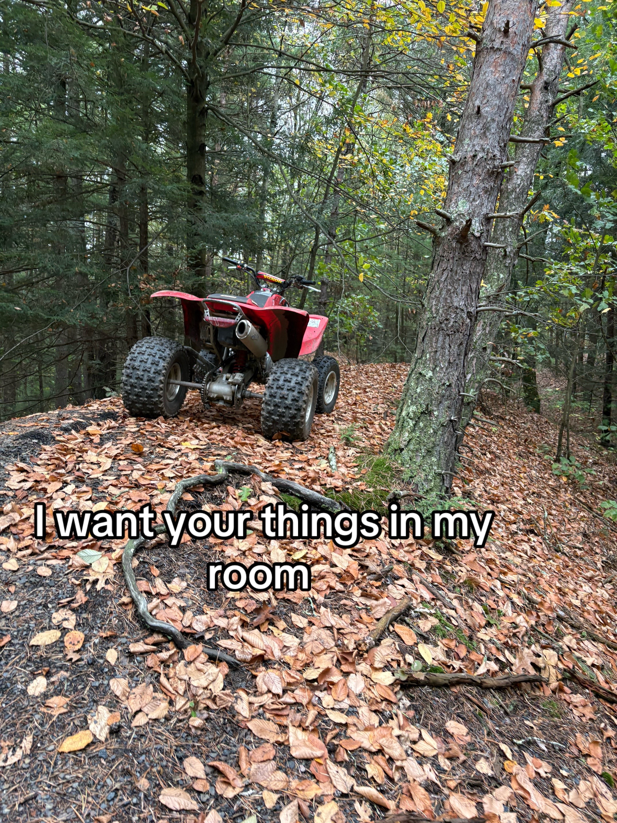 @𝒟𝒶𝓋𝑒