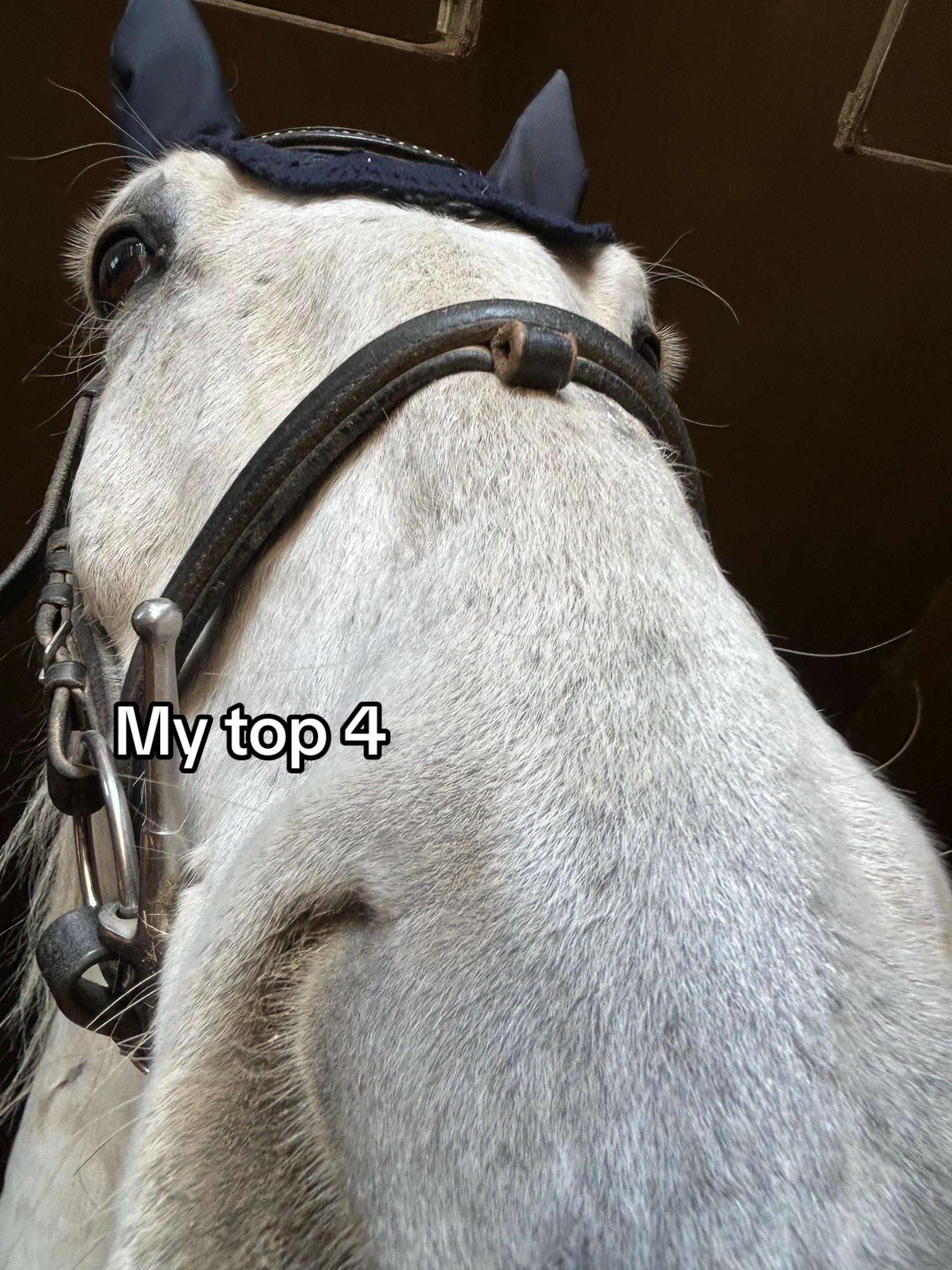 @😻🐴Eq._.N🐴😻