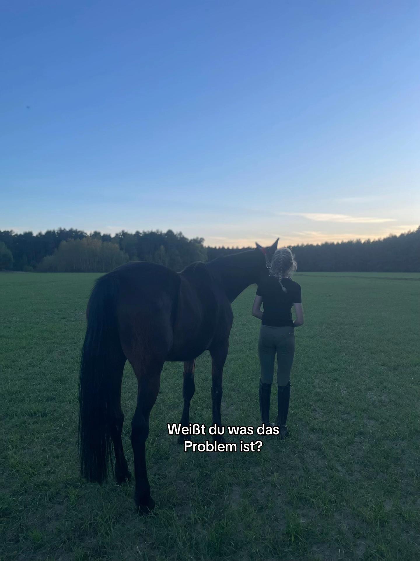 @lieblingstraber