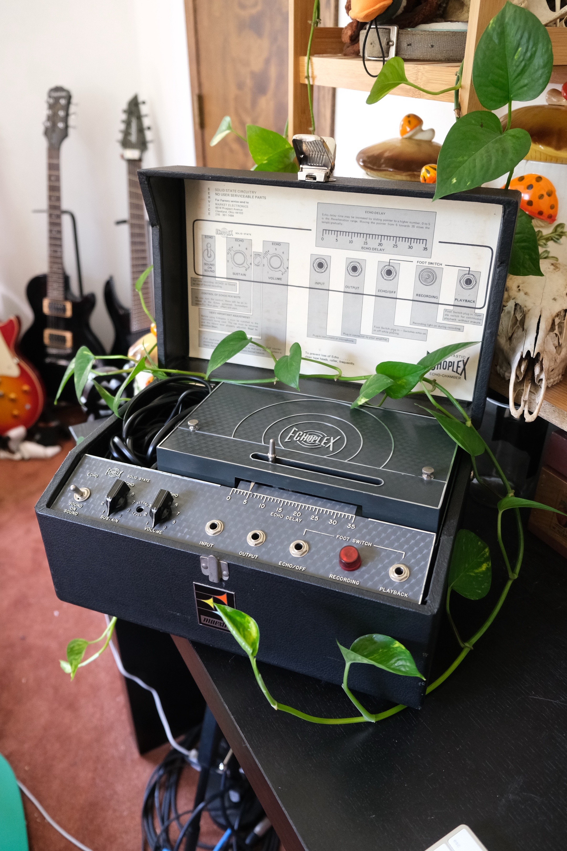 @Miss Shy | Instrument Repair