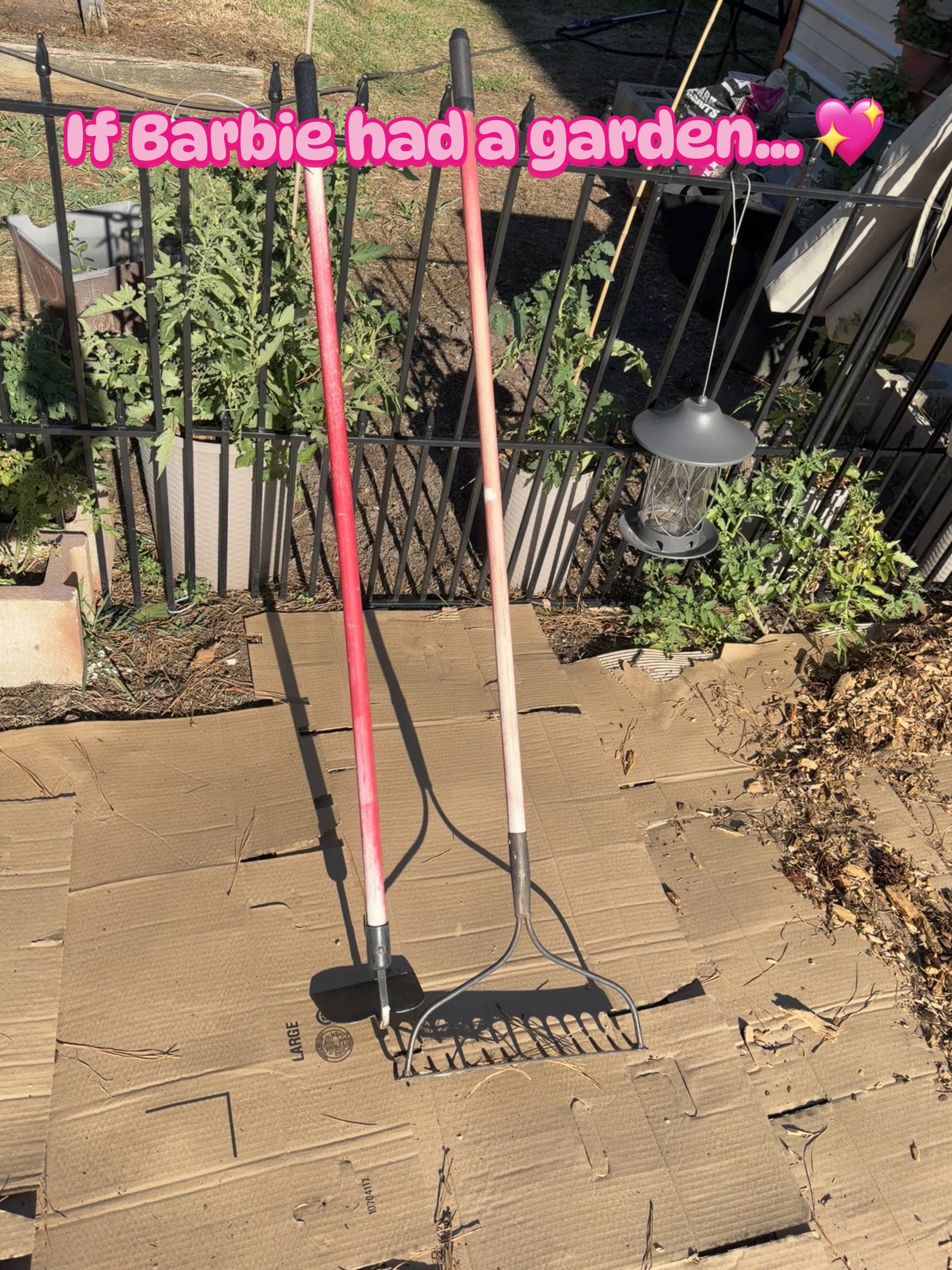 @YoShe Grows 🌱