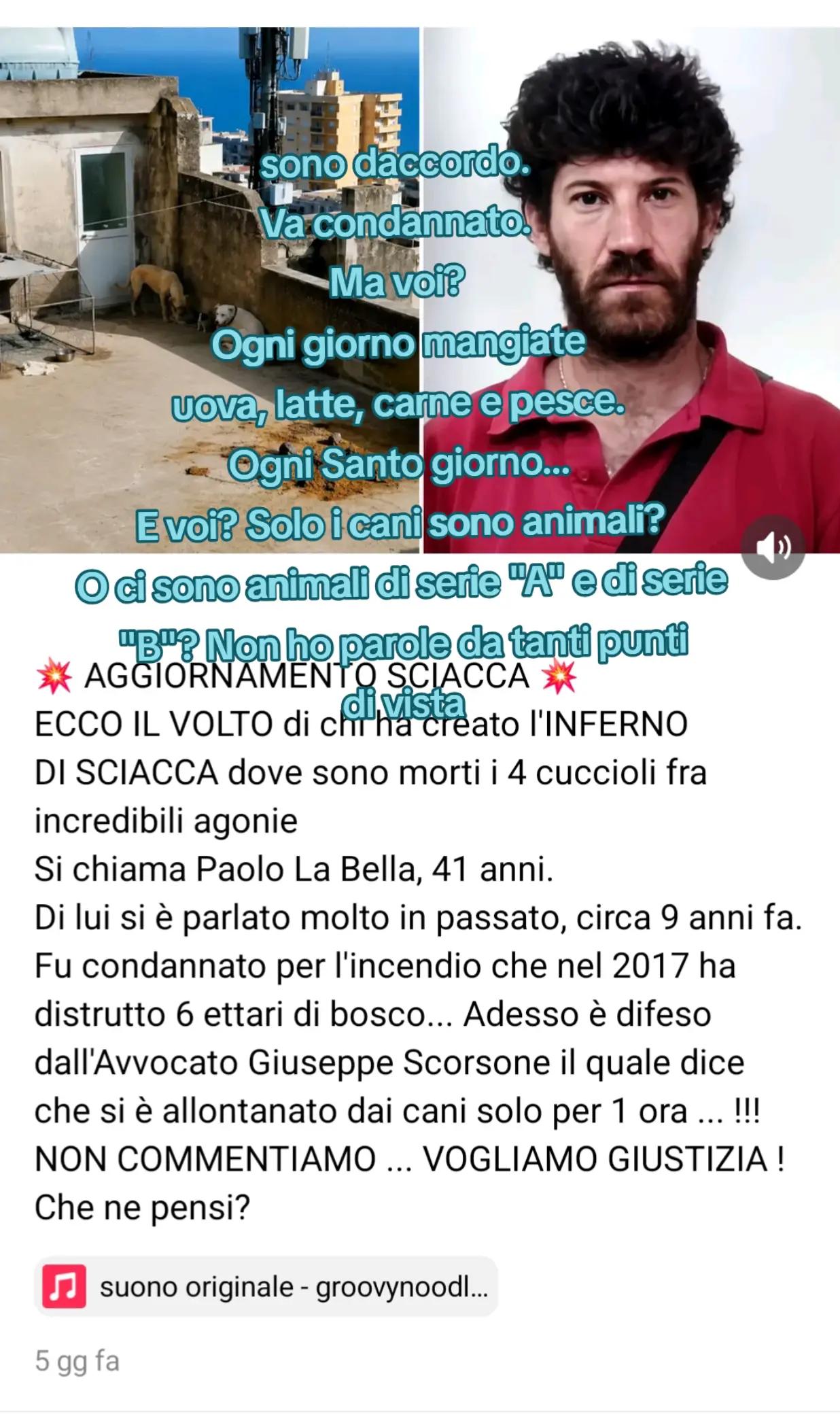 @gruppo emiddio fattore