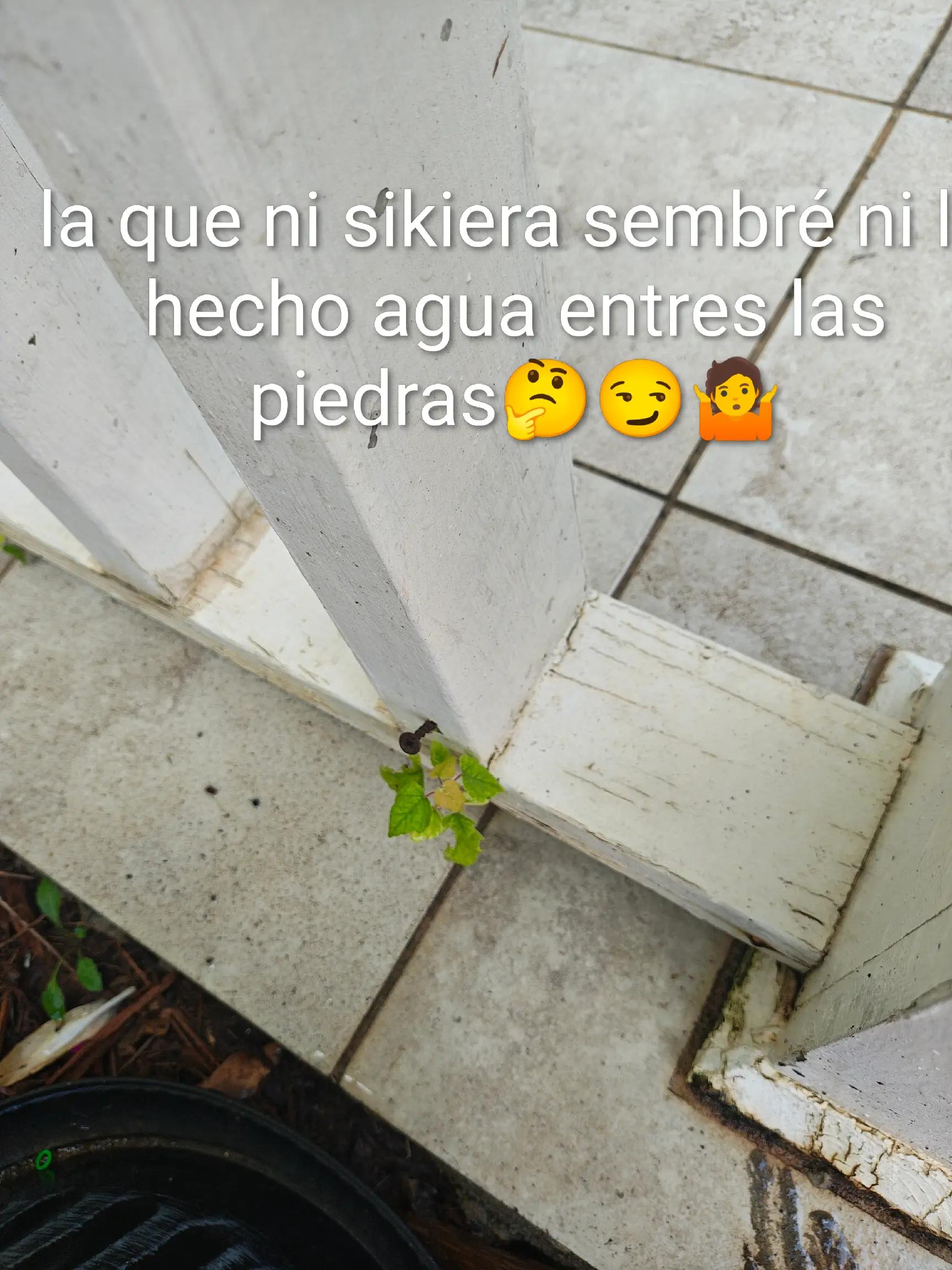@🇩🇴 de❤️zorifabian🙌🦅