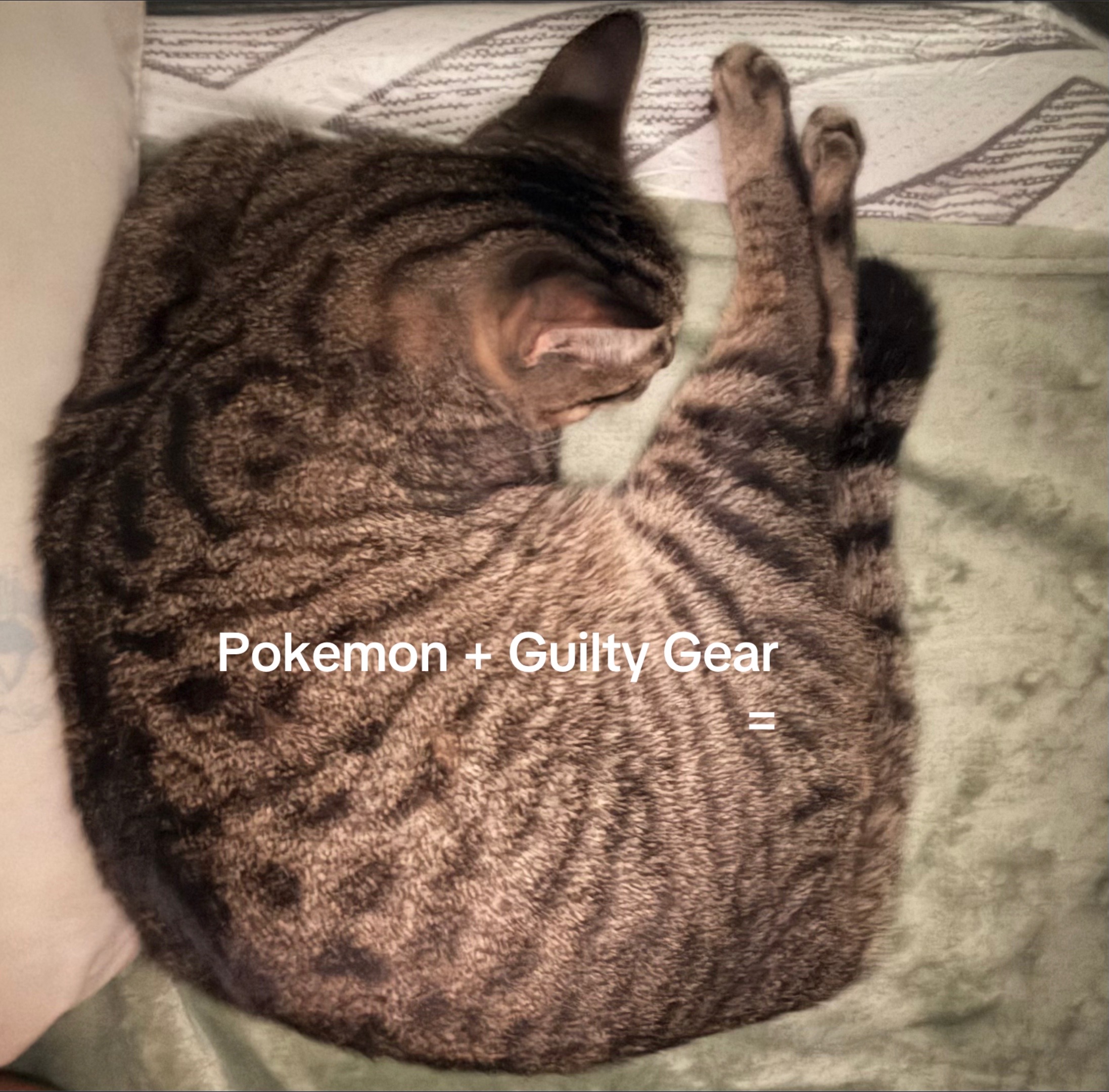 @WisdomCat