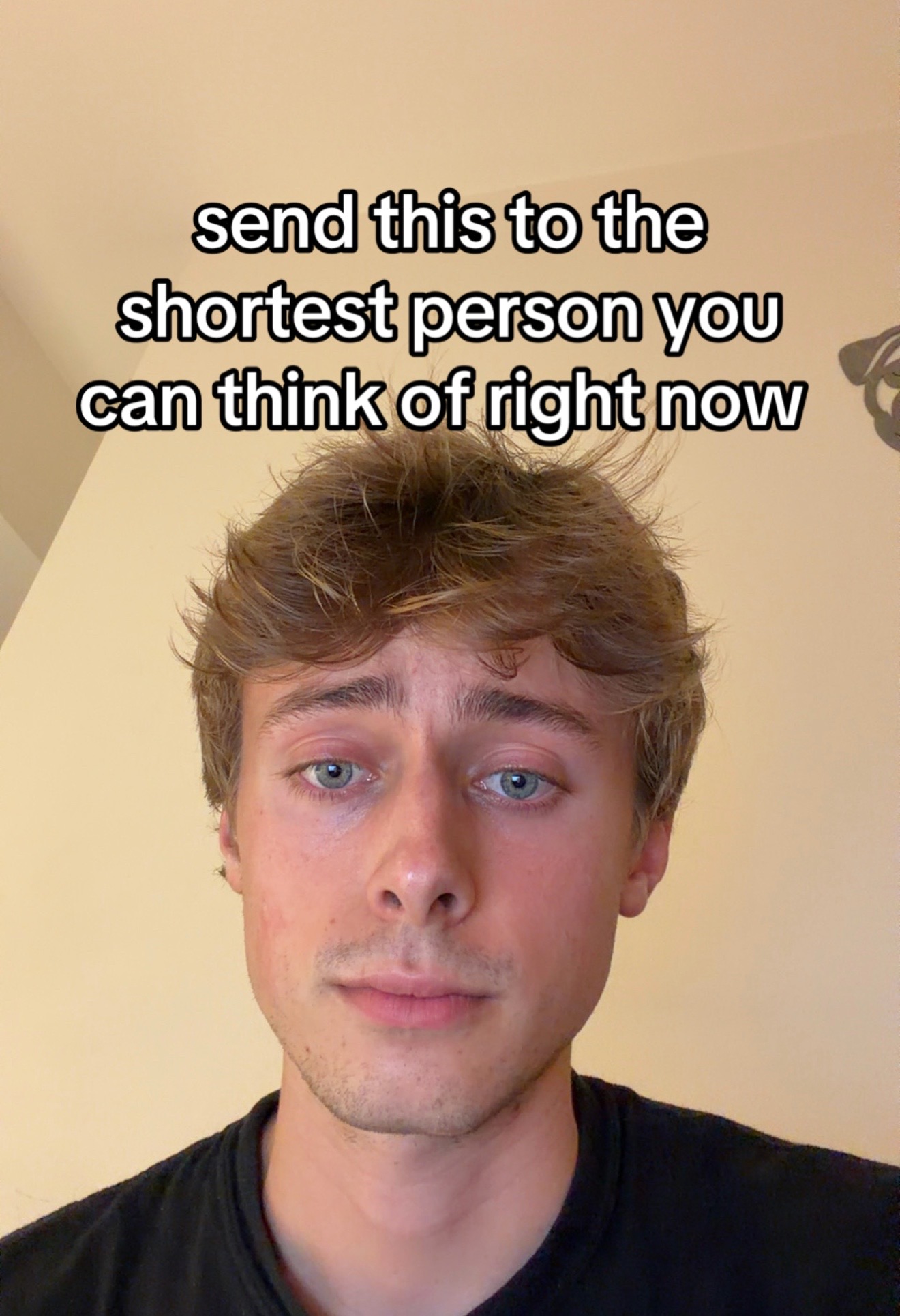 @Connor Pugs