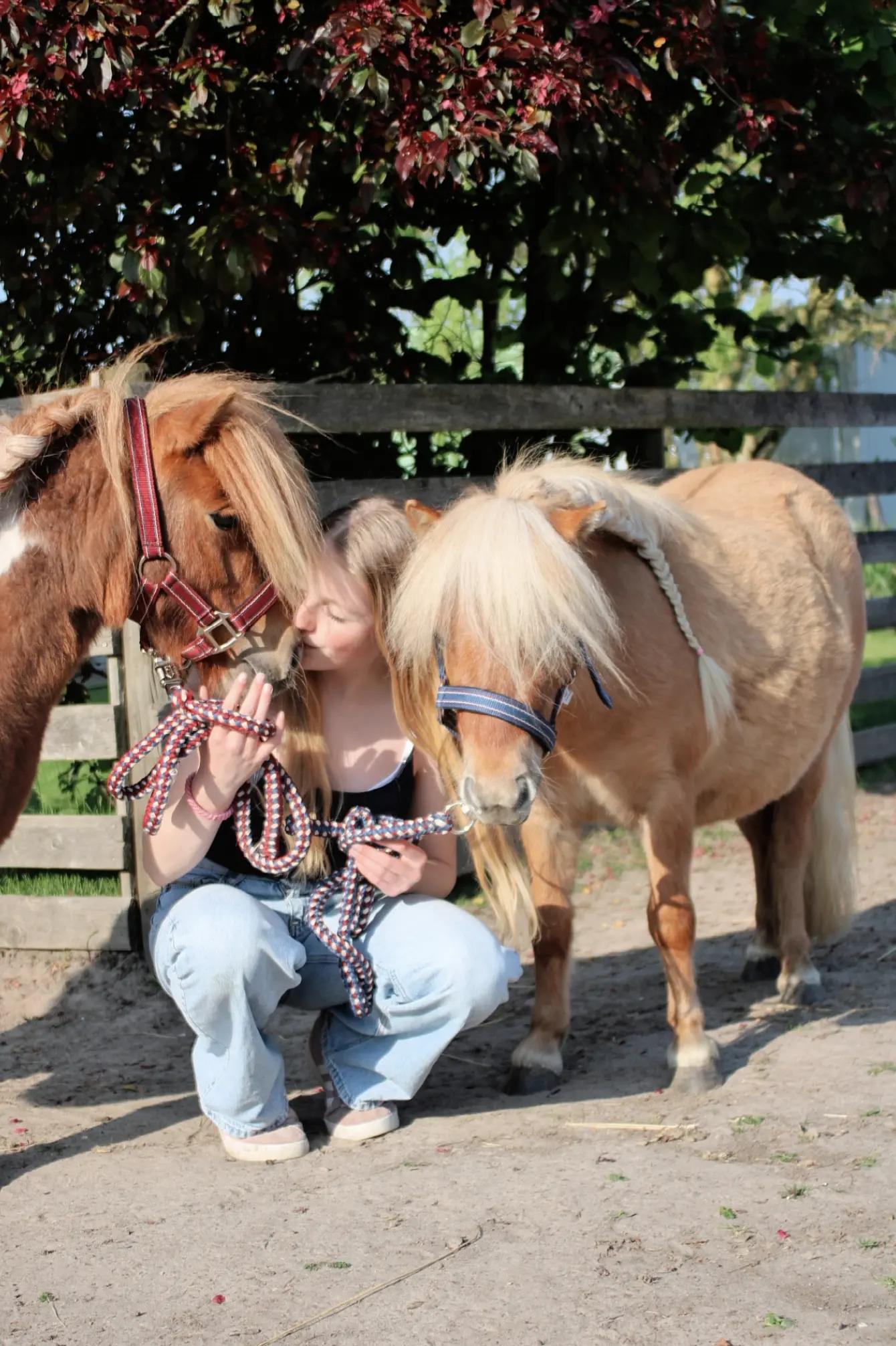 @Josys_Ponyhof-leben