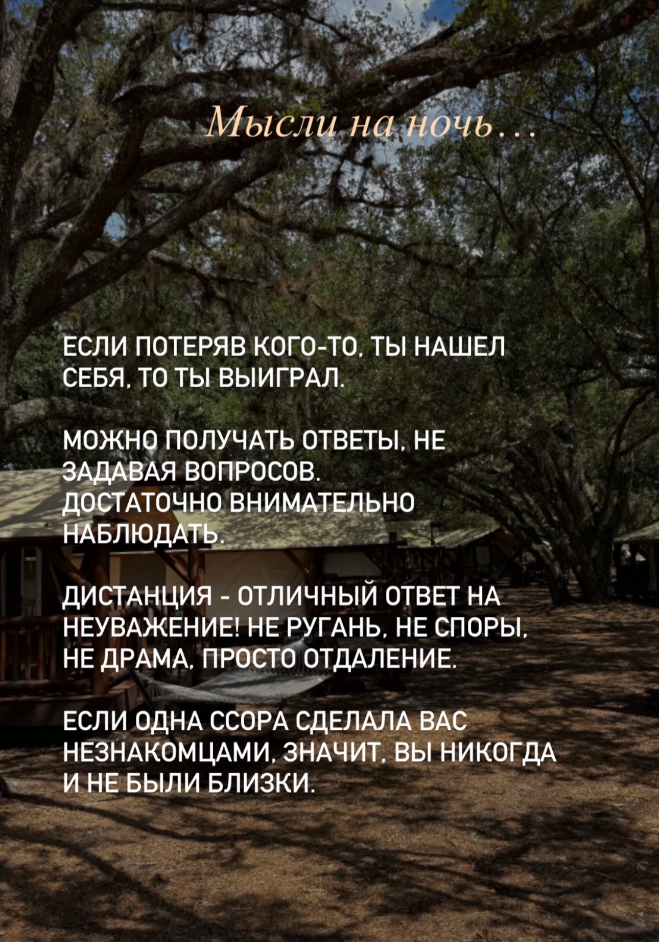 @svetlana_konovalov