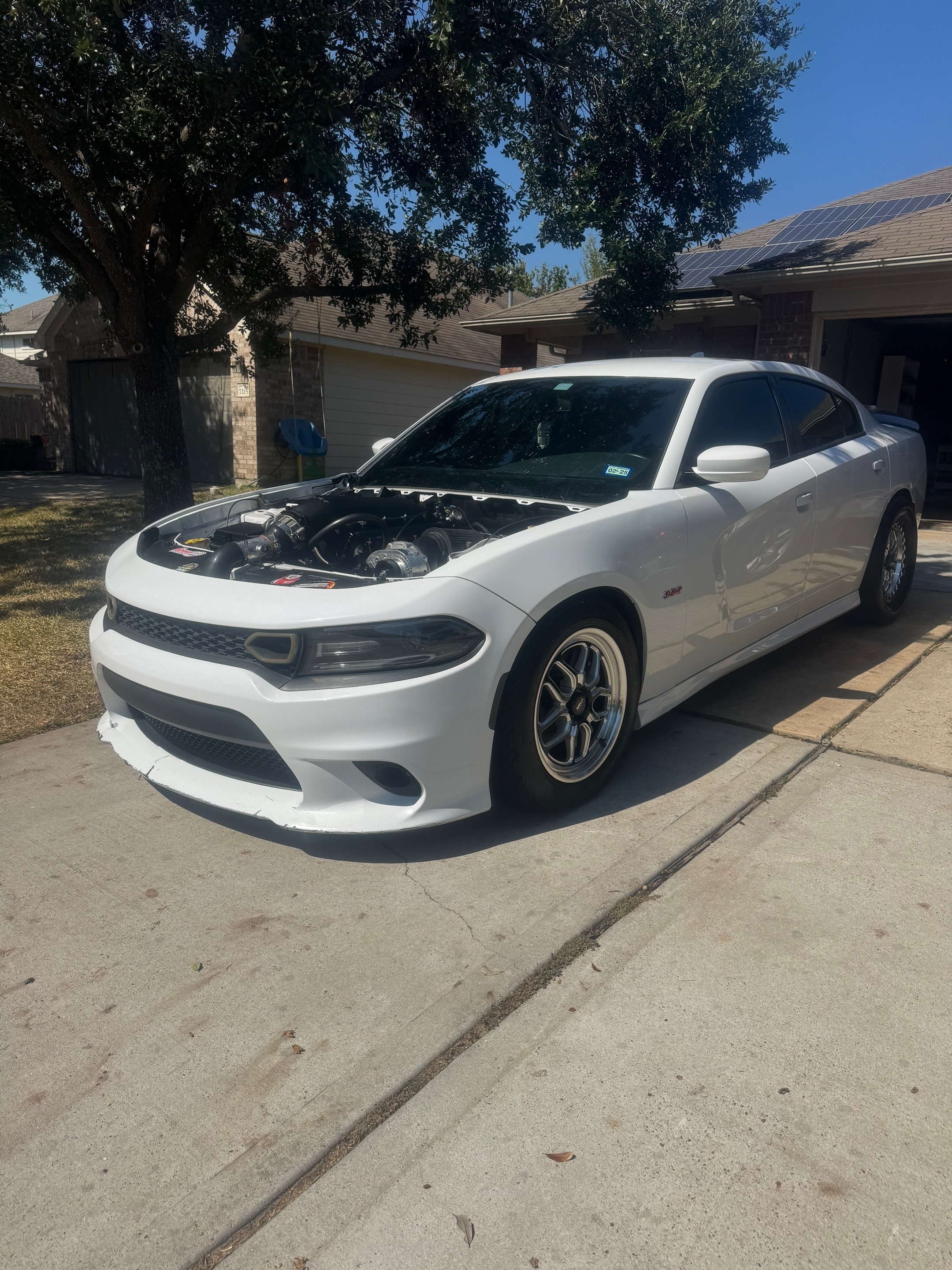 @Onefastscat