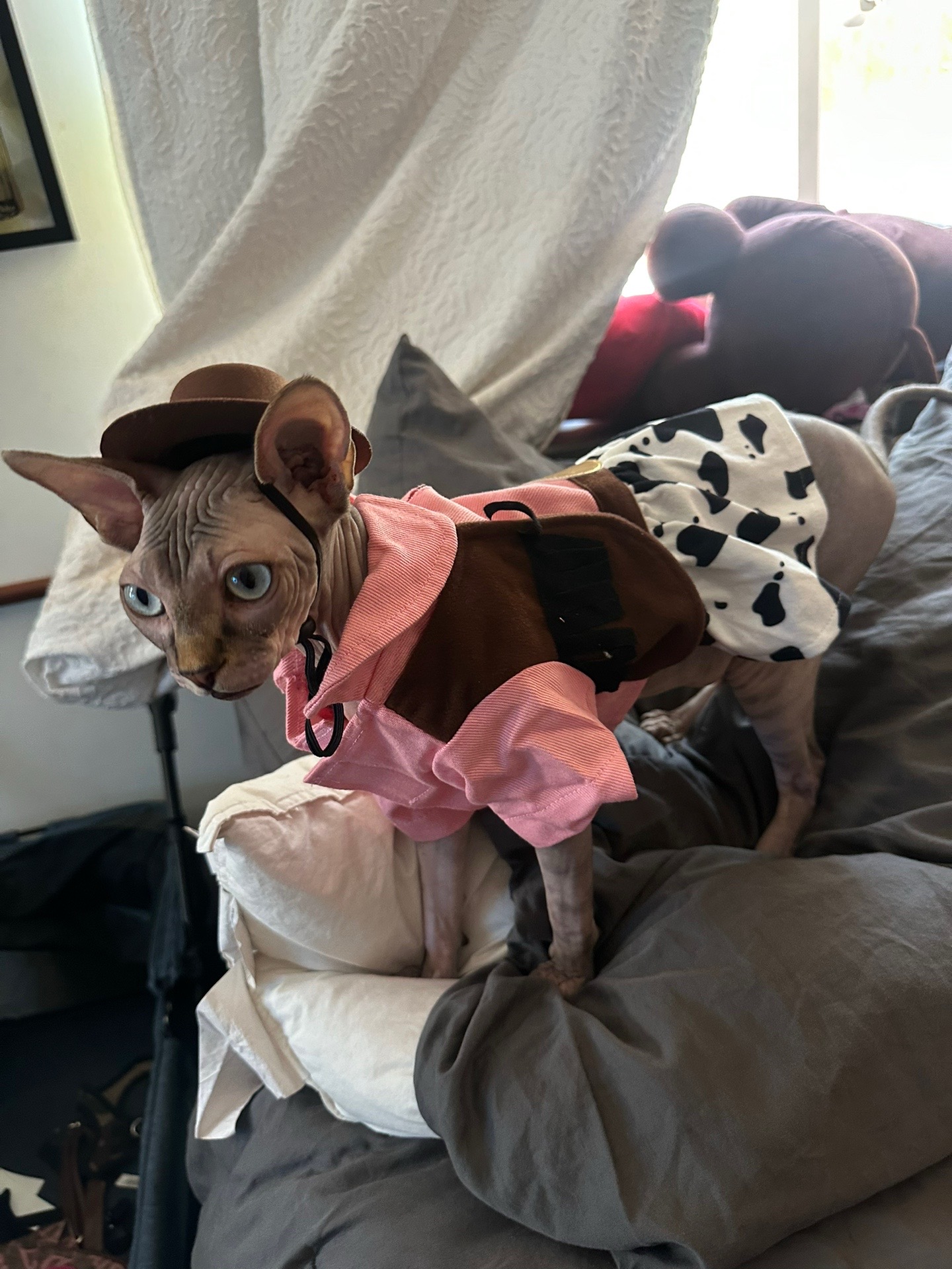 @famoussphynx