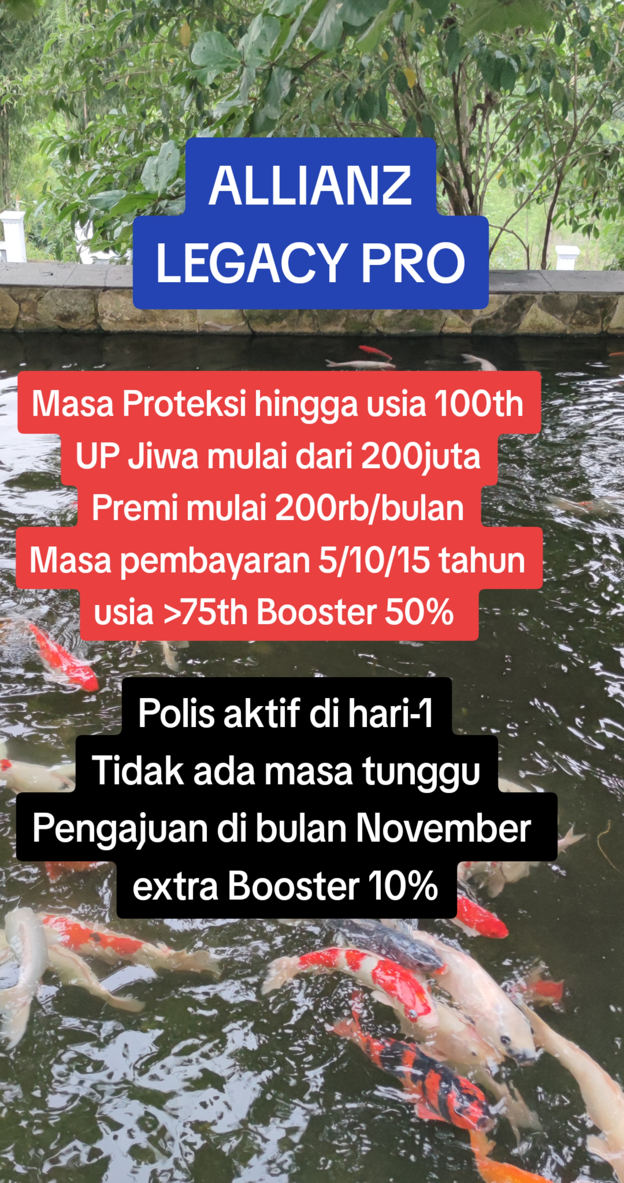 @henry.dokter.asuransi