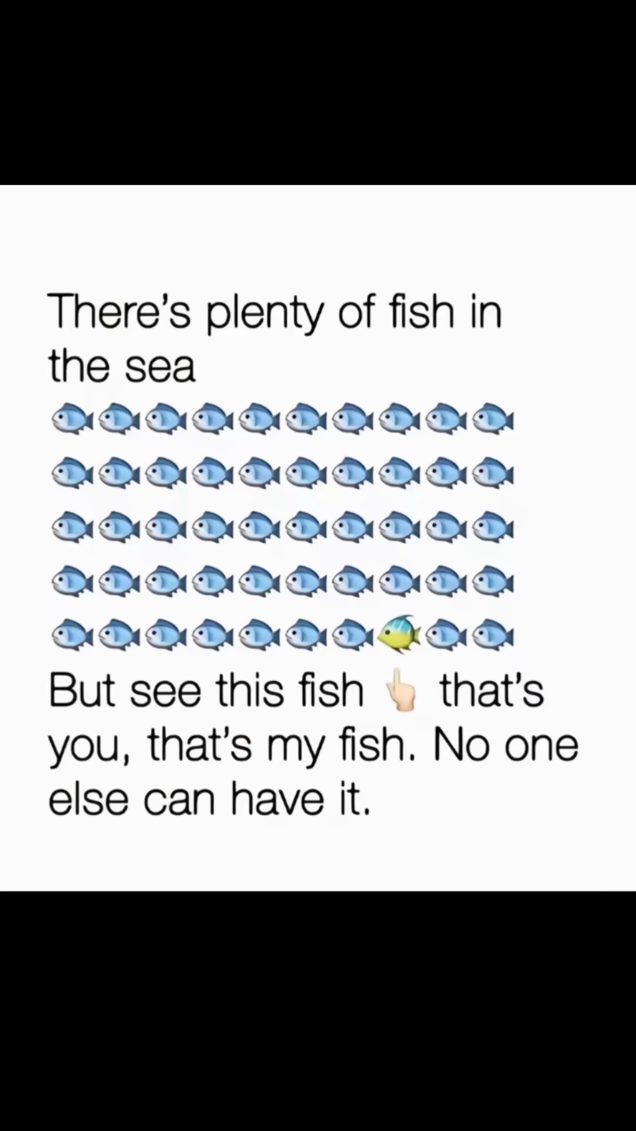 @sasha