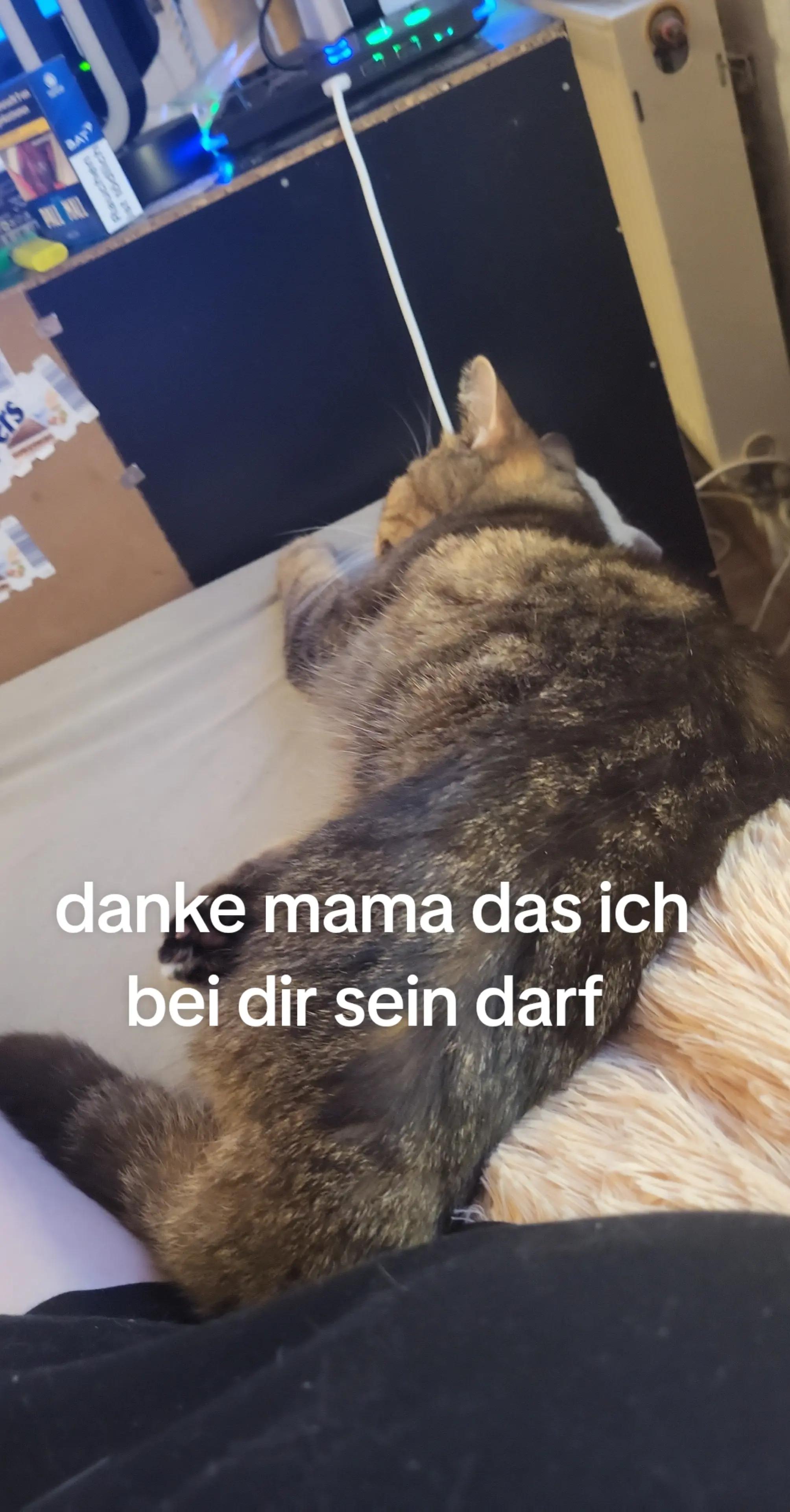 @Frau von sprechende Tomate