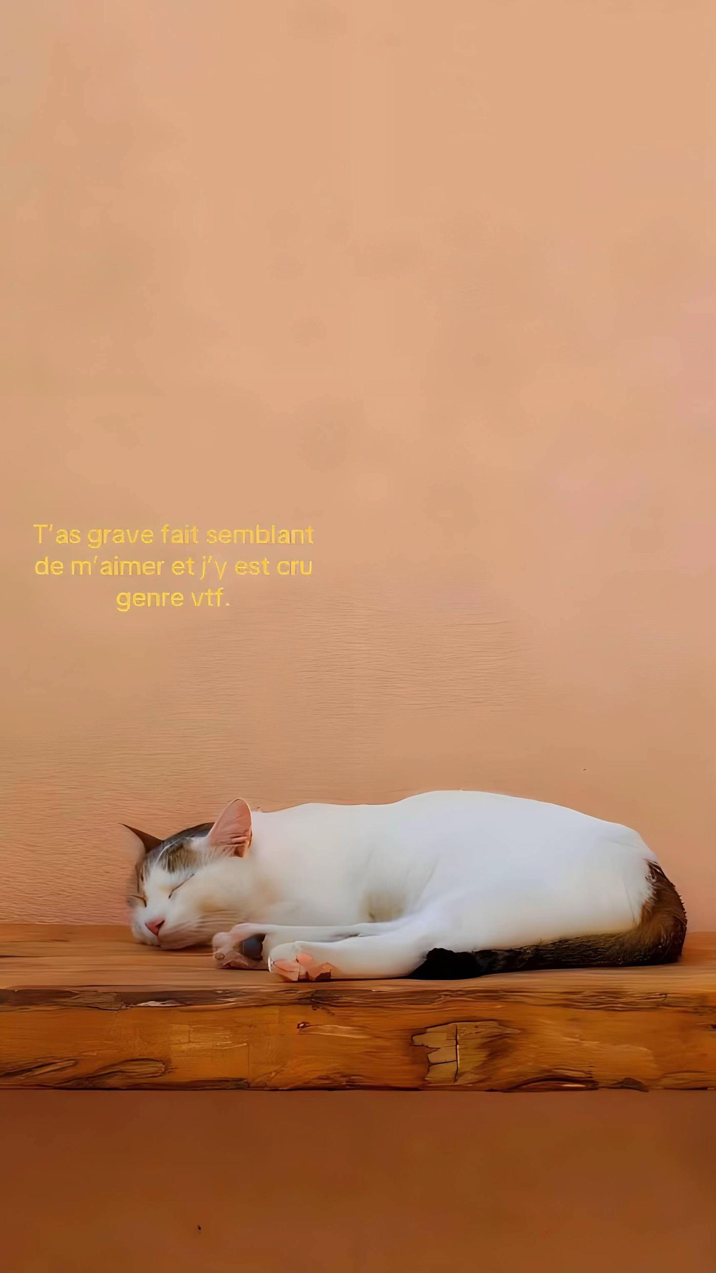 @ꨄꨄ