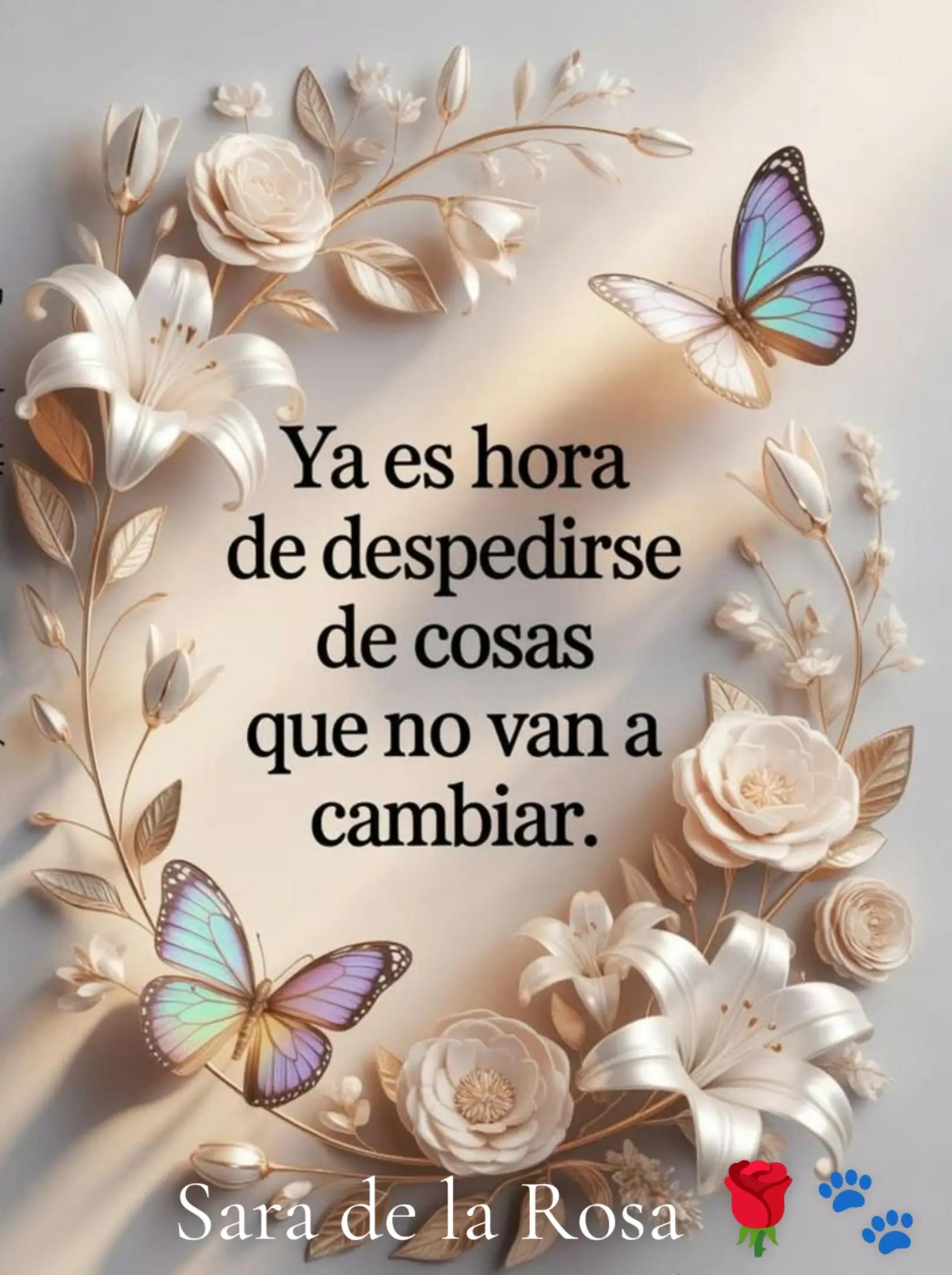 @Chaparrita ☺️❤️🧡💛🩵💙💜2025