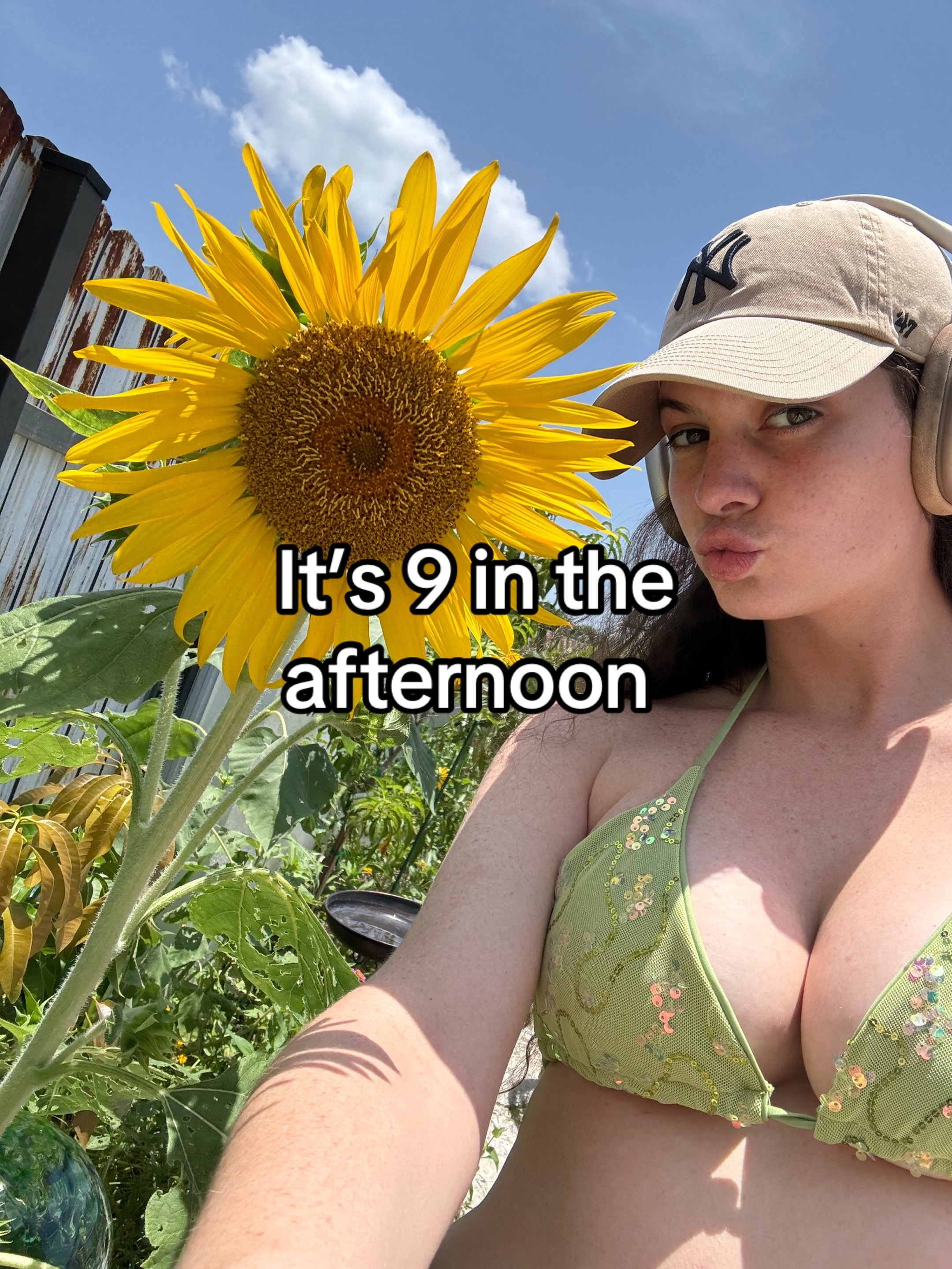 @Paigenicolenovaro