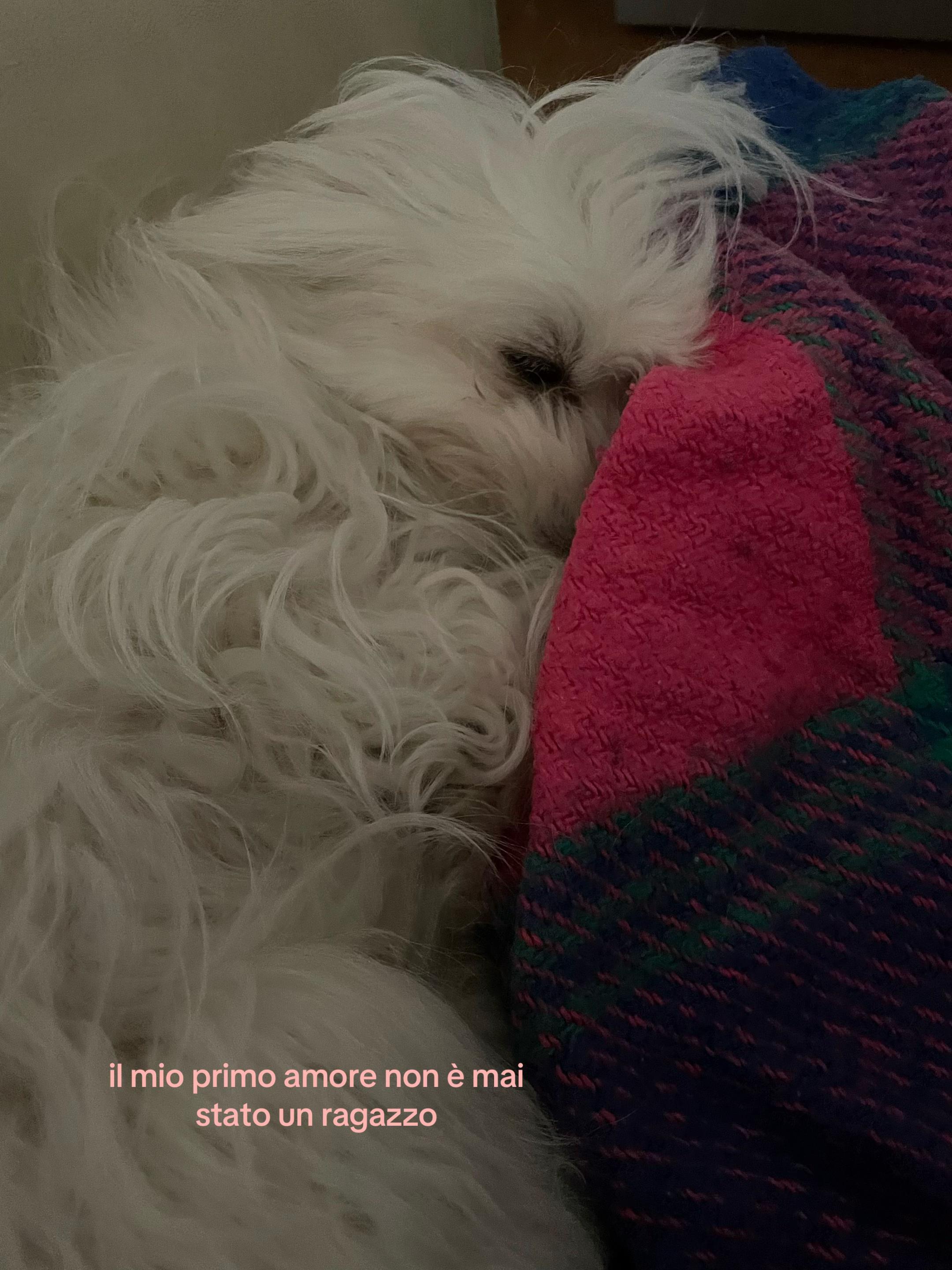 @⭐️🪷